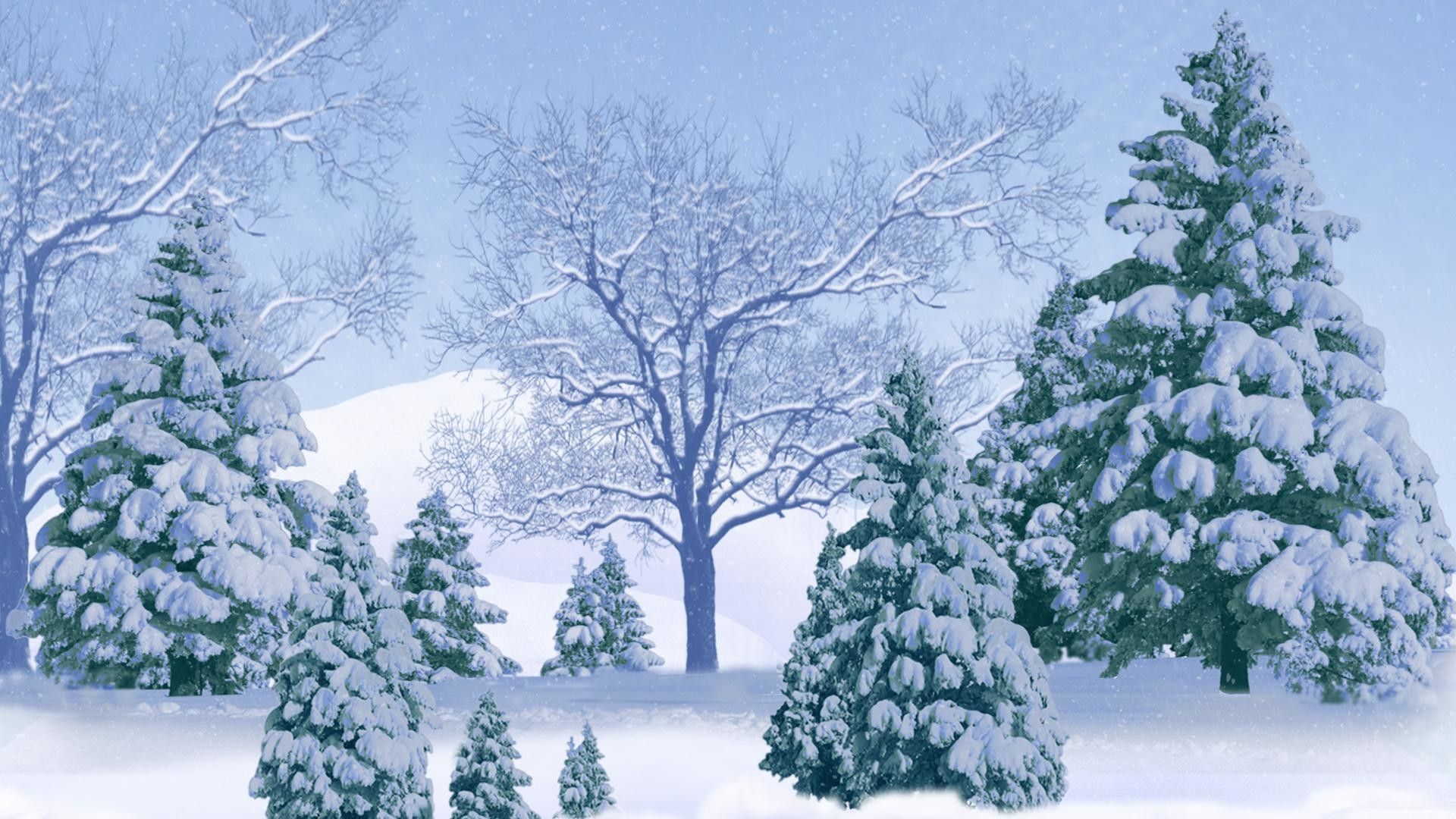 Winter Trees Snow Season Wallpapers