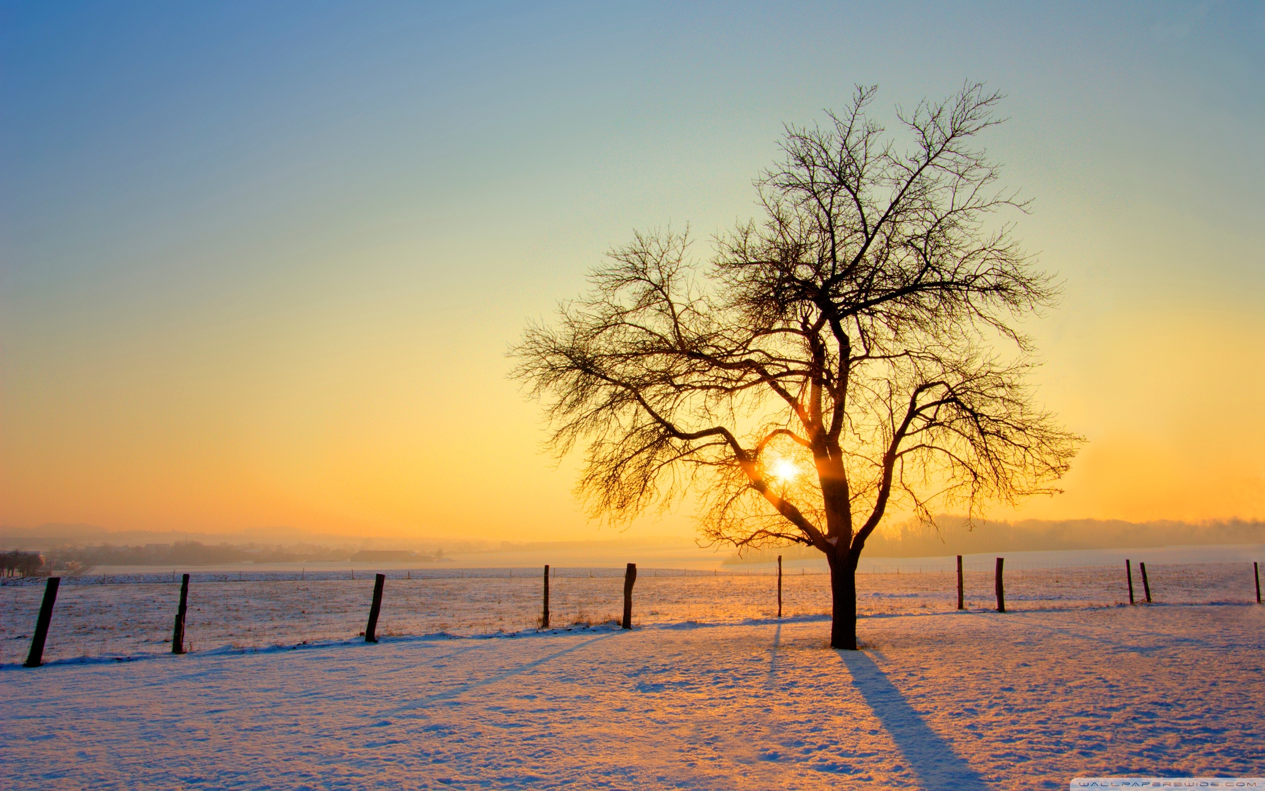 Winter Sunset Desktop Backgrounds