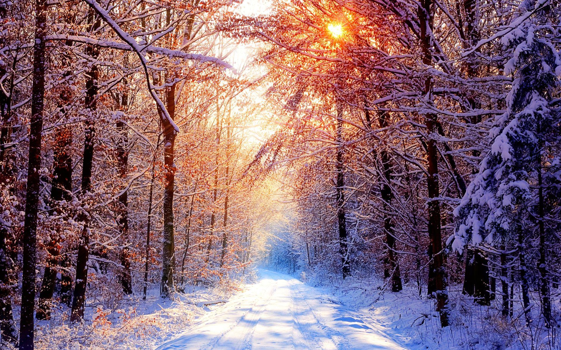 Winter Sunset Desktop Backgrounds