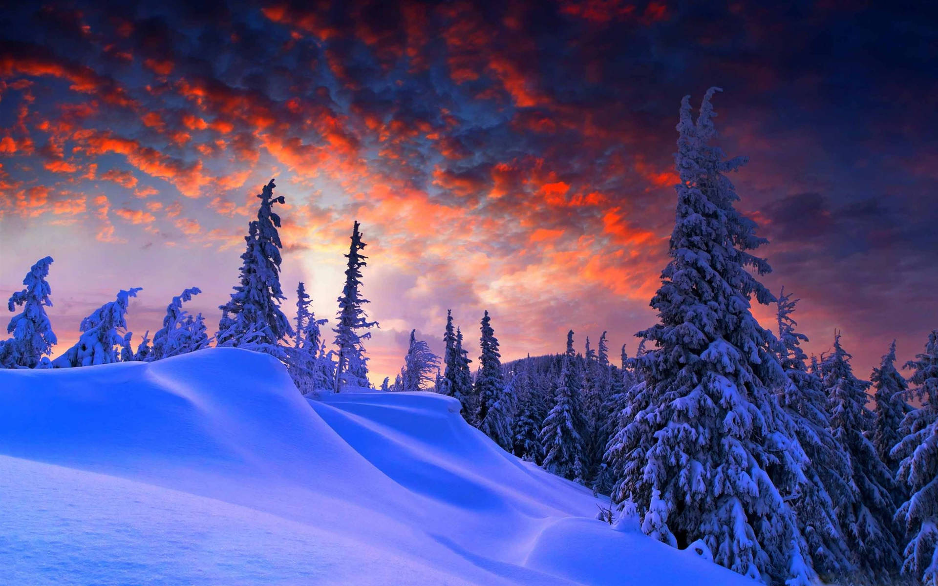 Winter Sunset Desktop Backgrounds