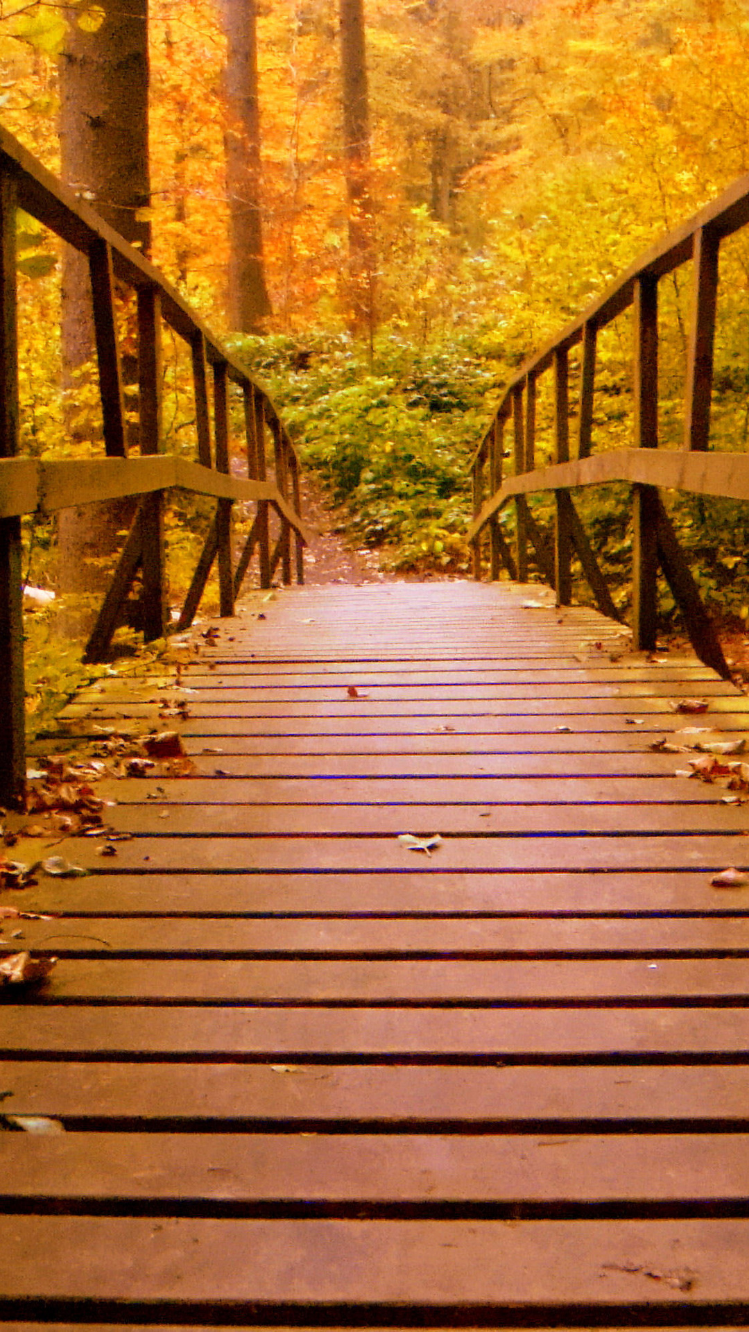 Wood Bridge Forest In Fall Wallpapers