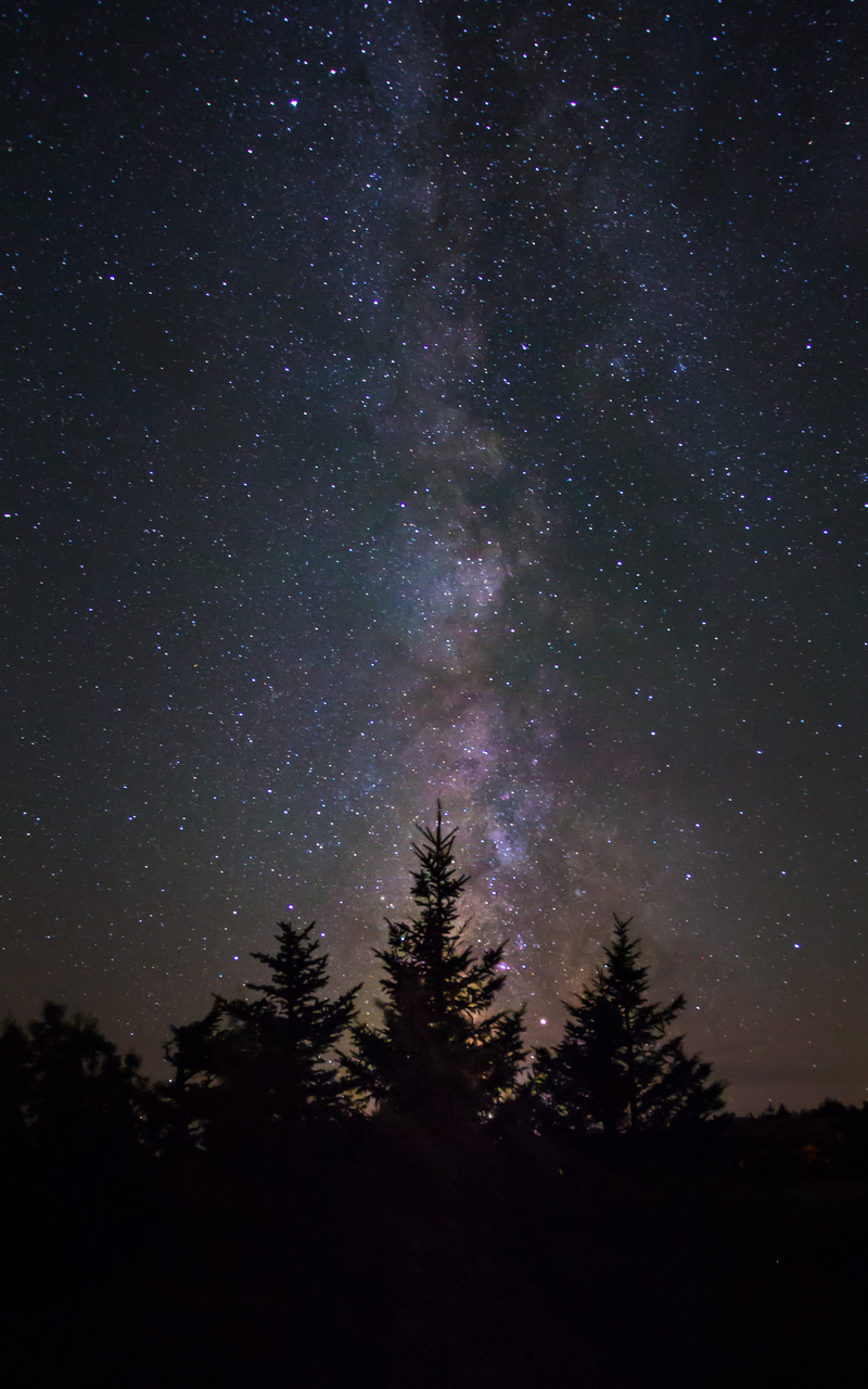 Yosemite National Park Milky Way Wallpapers