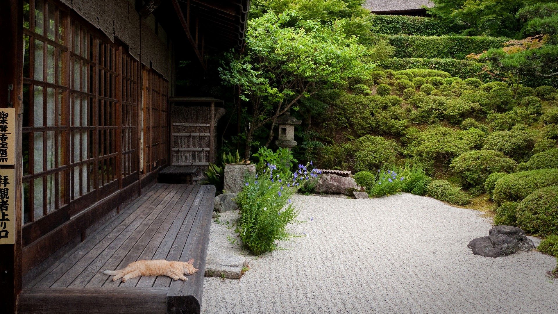 Zen Garden Wallpapers