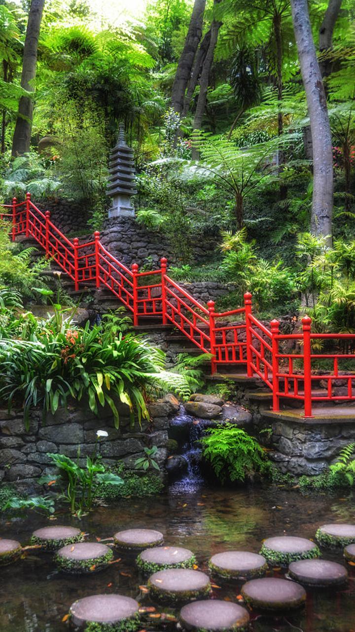 Zen Garden Wallpapers