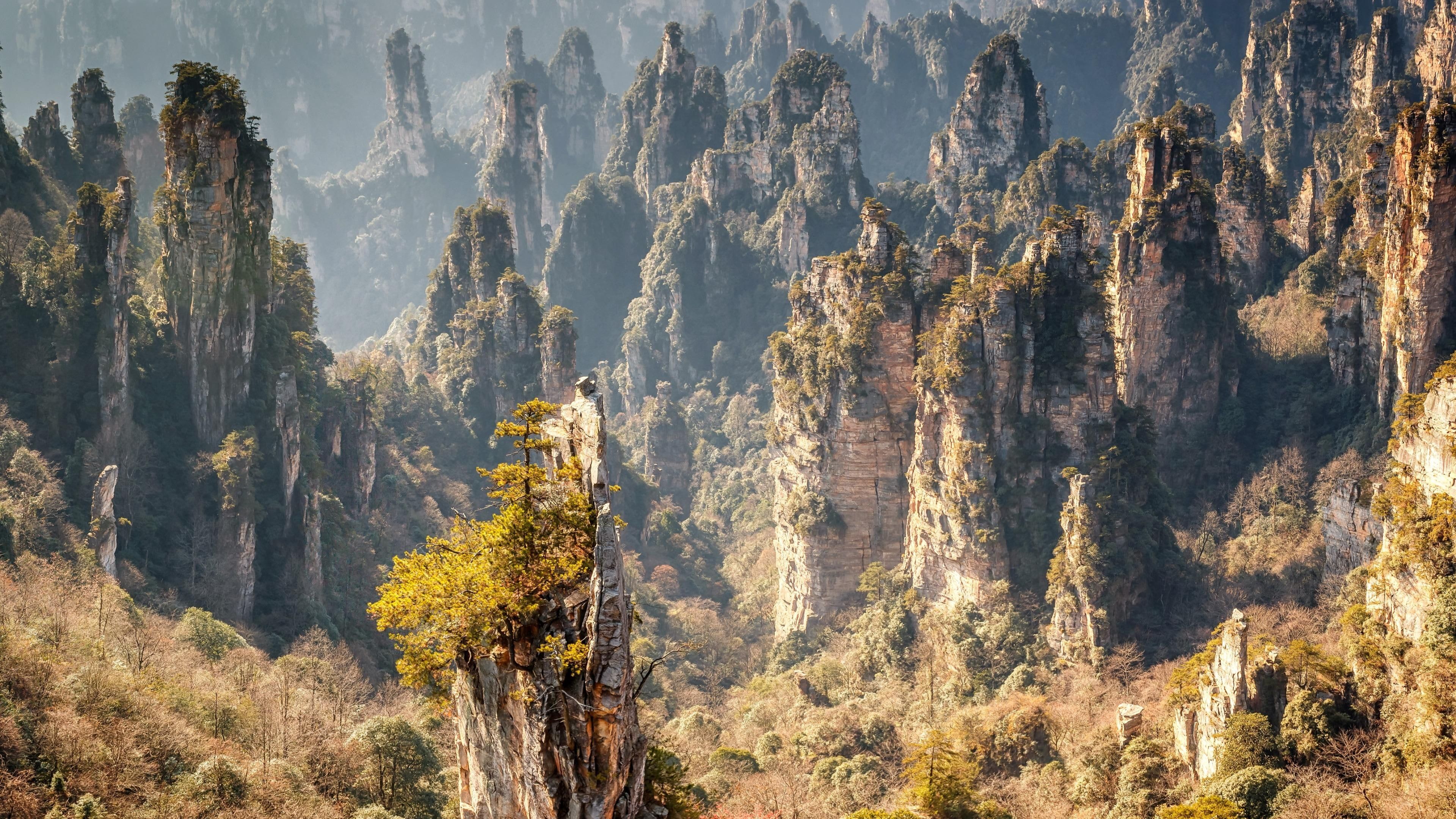 Zhangjiajie National Forest Park Wallpapers