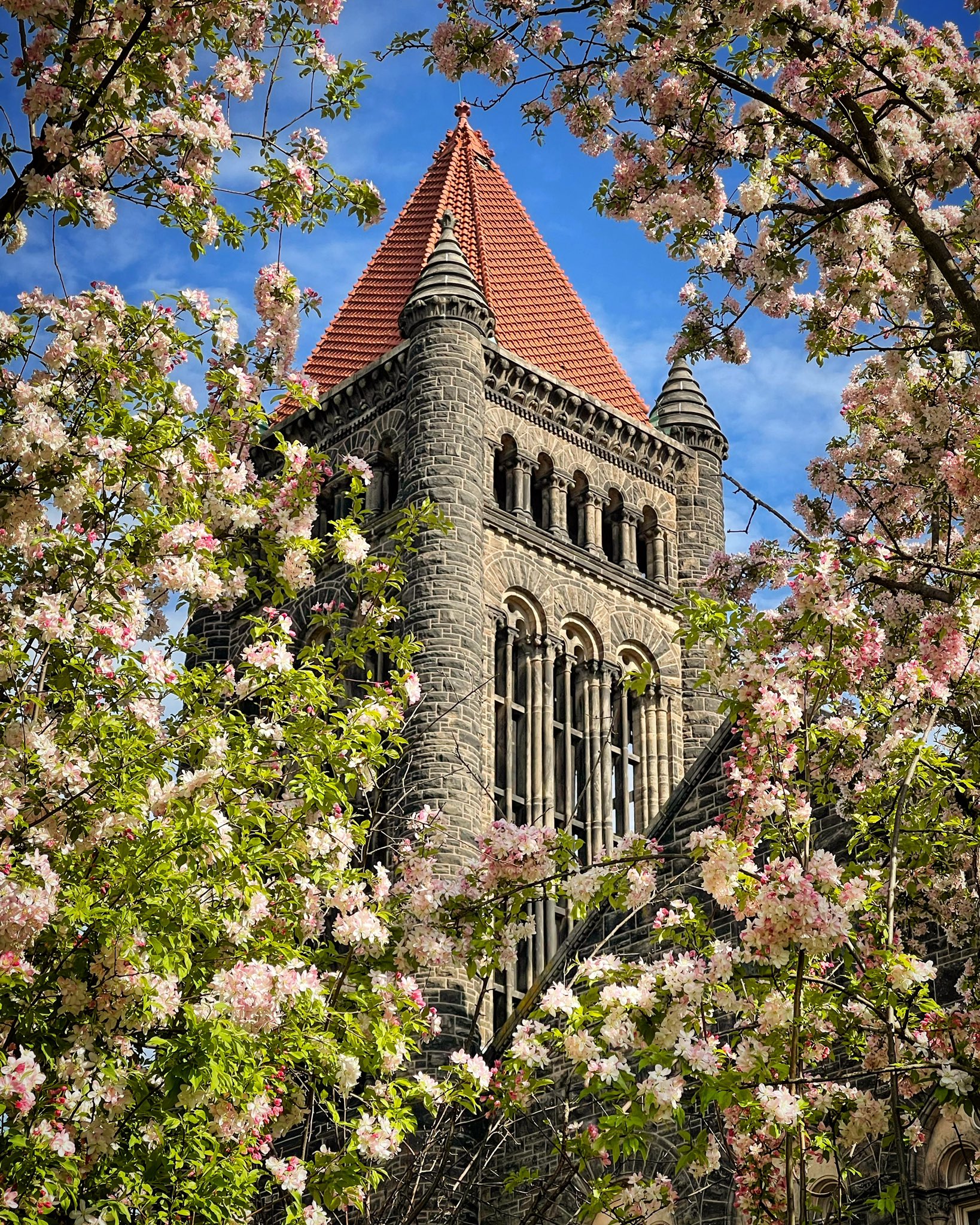 Altgeld Hall Wallpapers