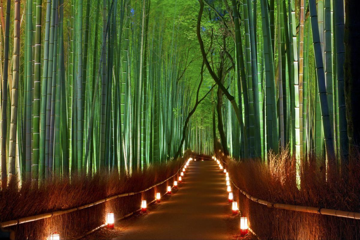 Arashiyama Wallpapers