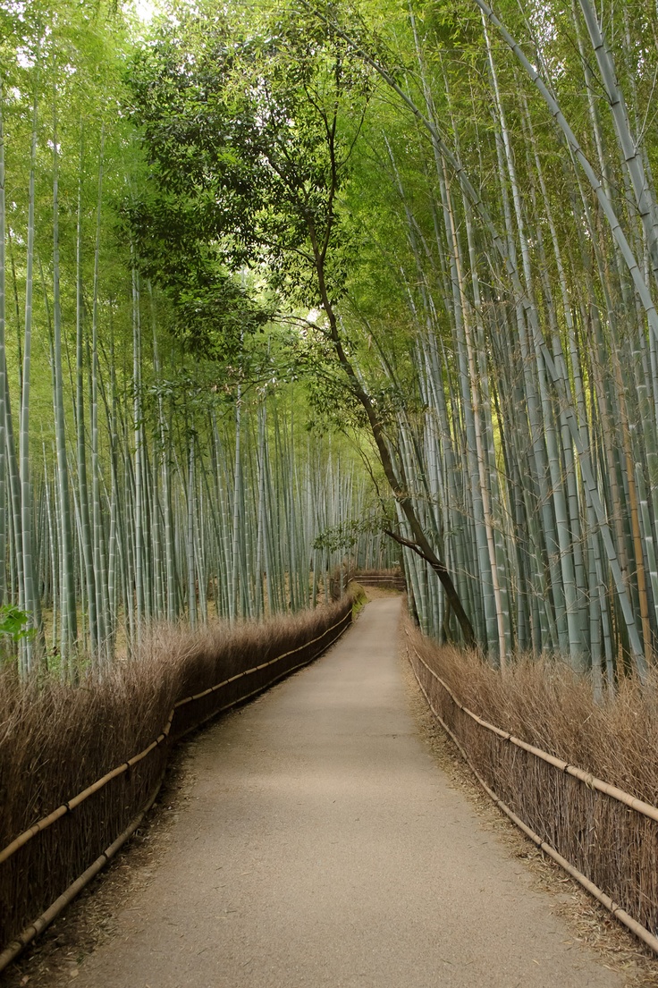 Arashiyama Wallpapers