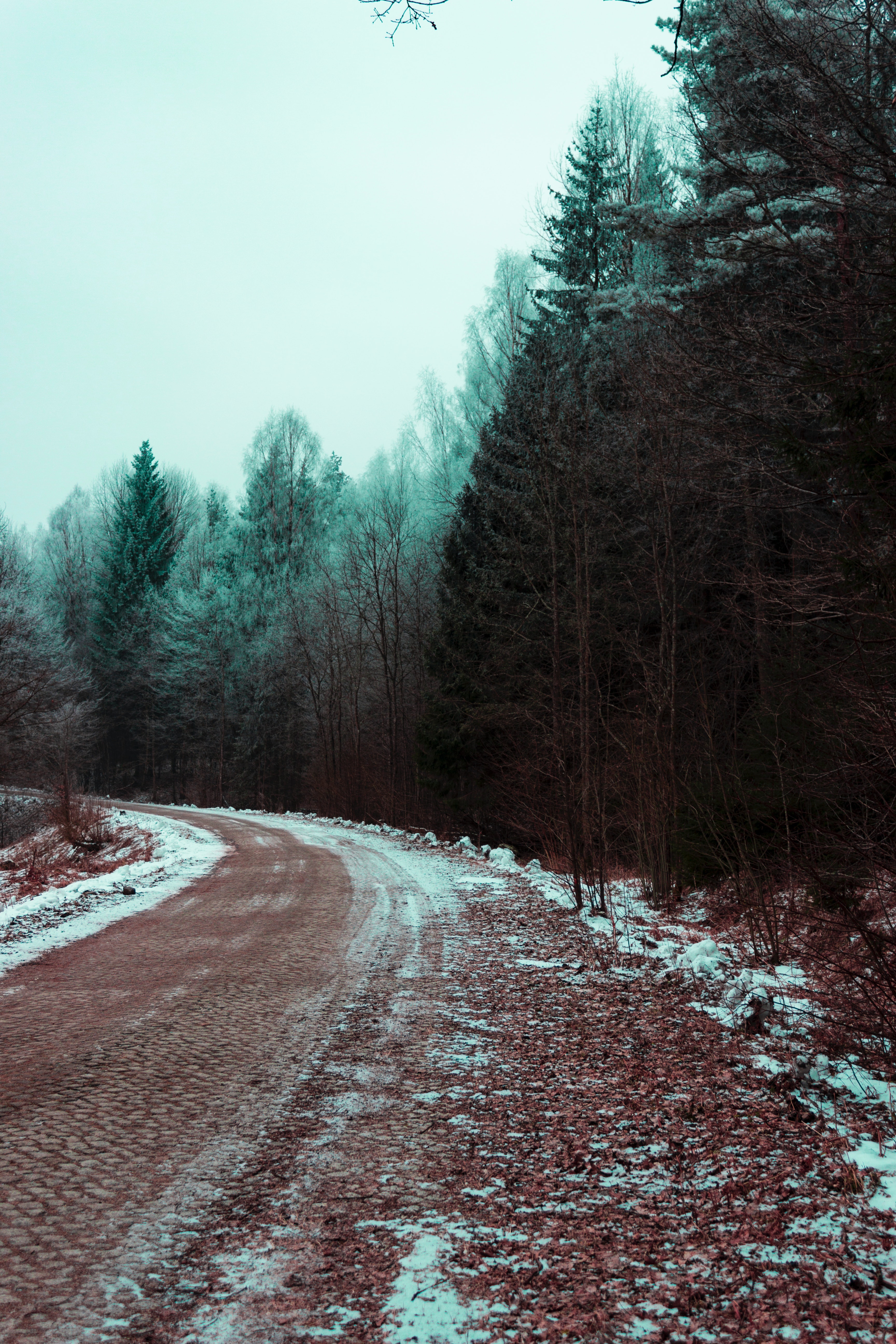 Austria Snow Forest Tree Road Wallpapers