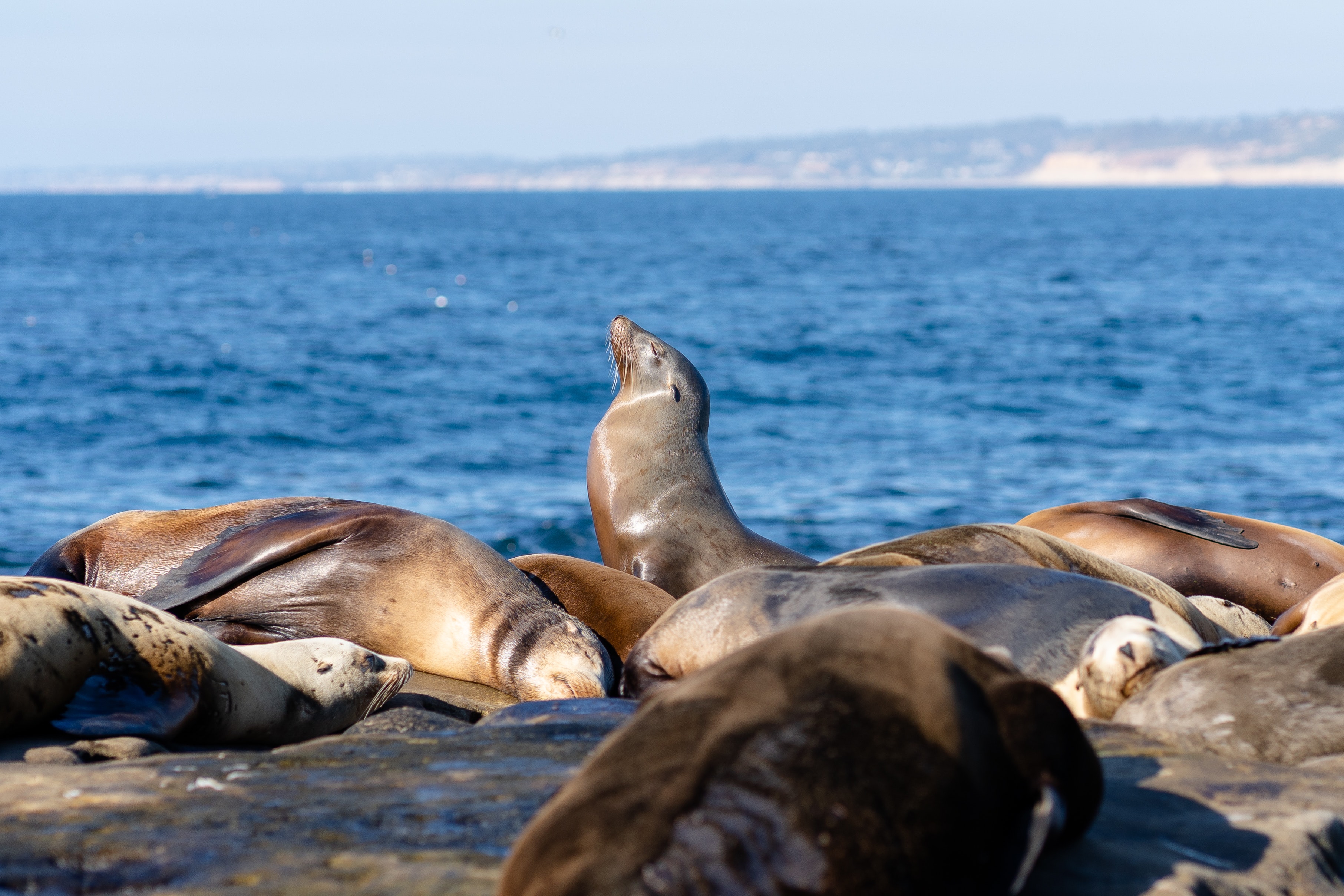 Baja California Wallpapers