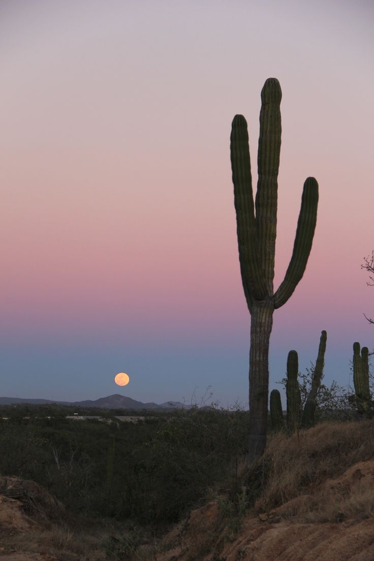 Baja California Wallpapers