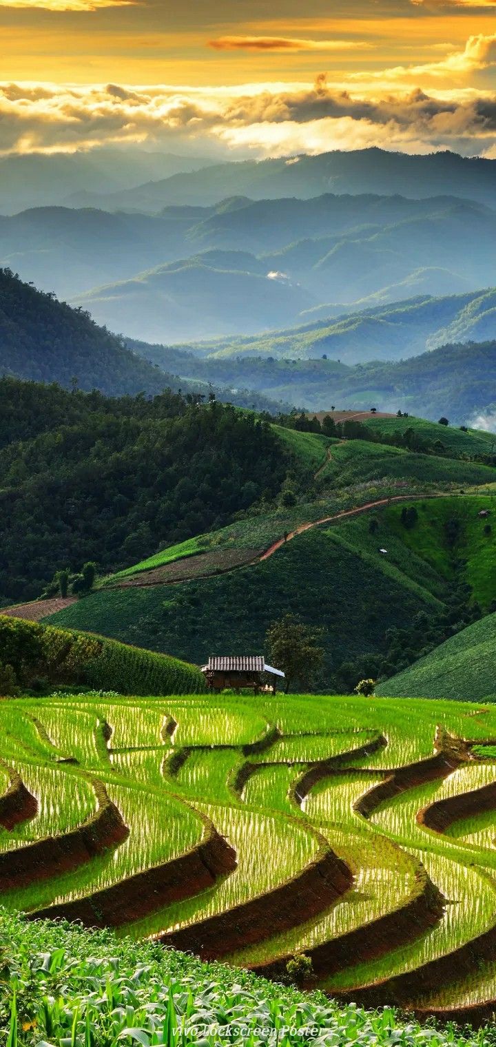 Banaue Wallpapers