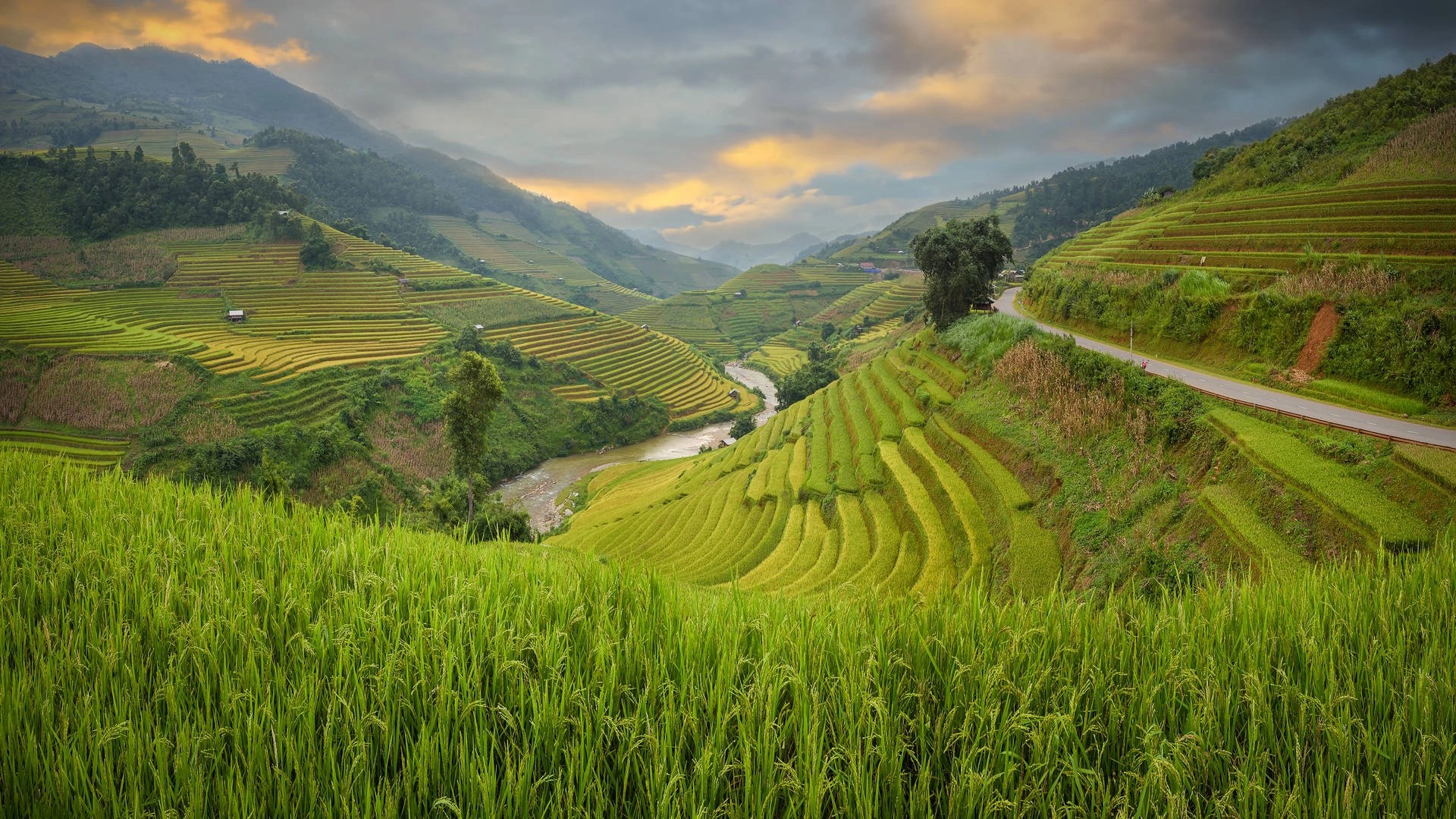 Banaue Wallpapers