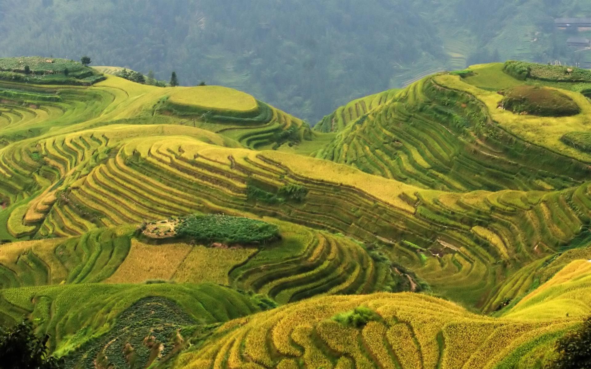 Banaue Wallpapers