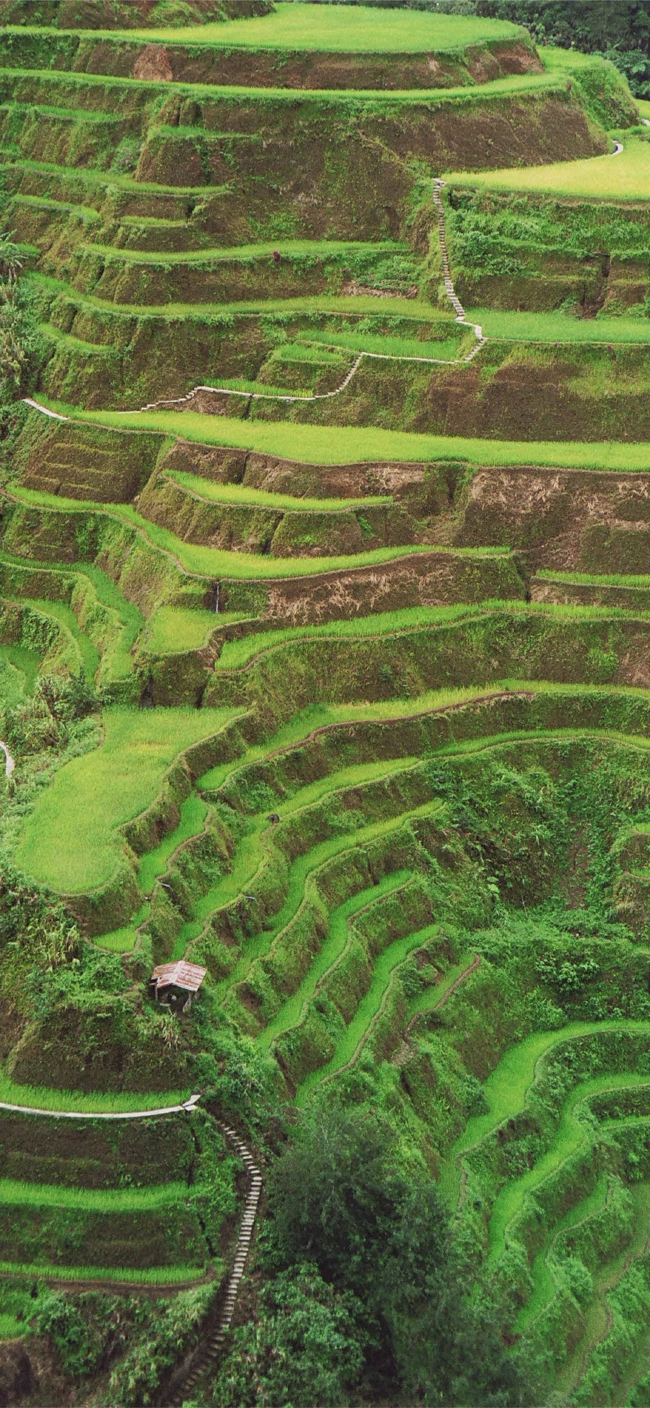 Banaue Wallpapers