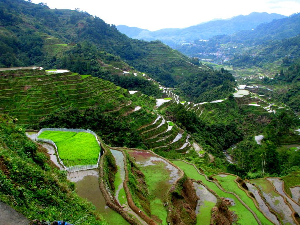 Banaue Wallpapers