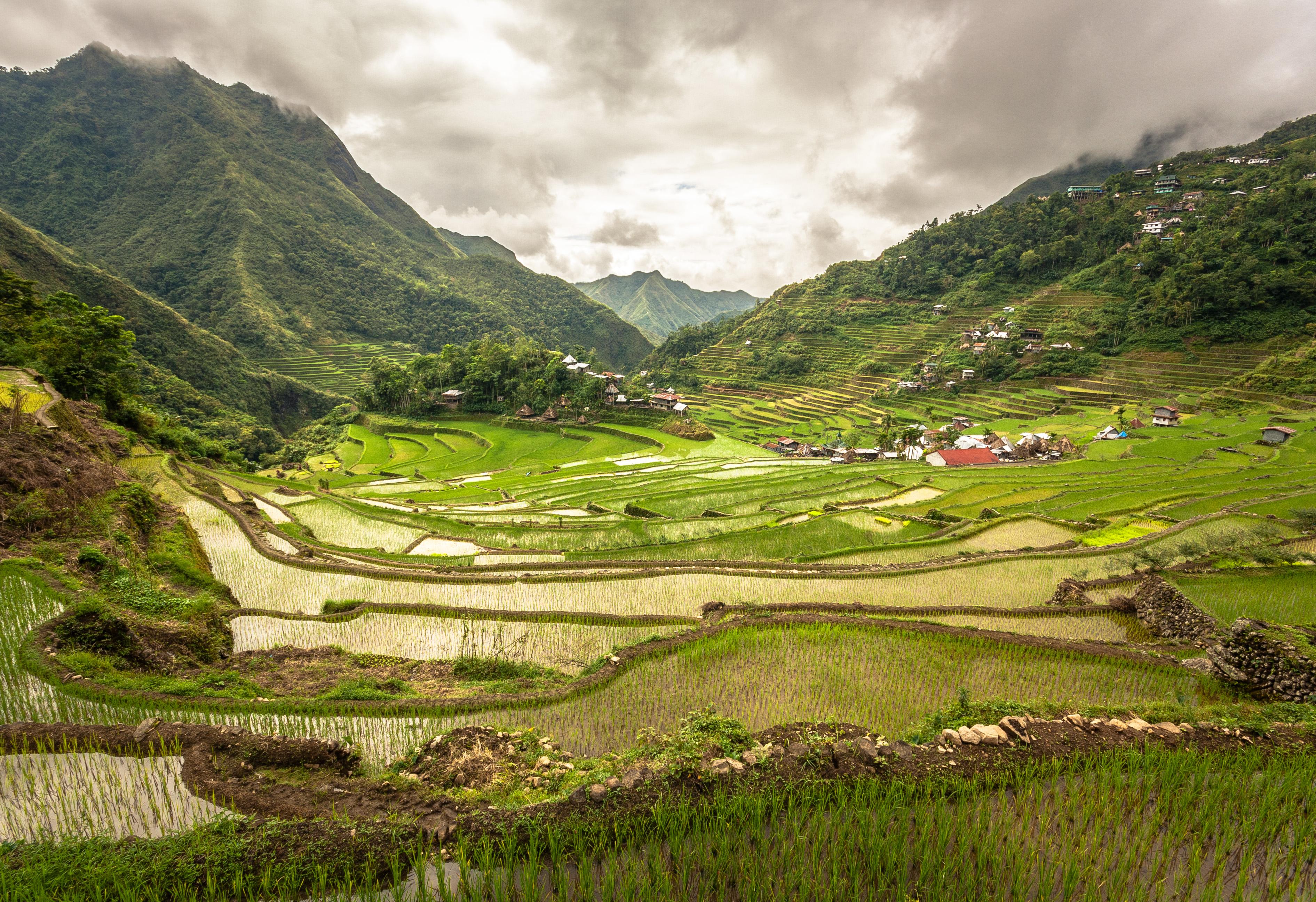 Banaue Wallpapers