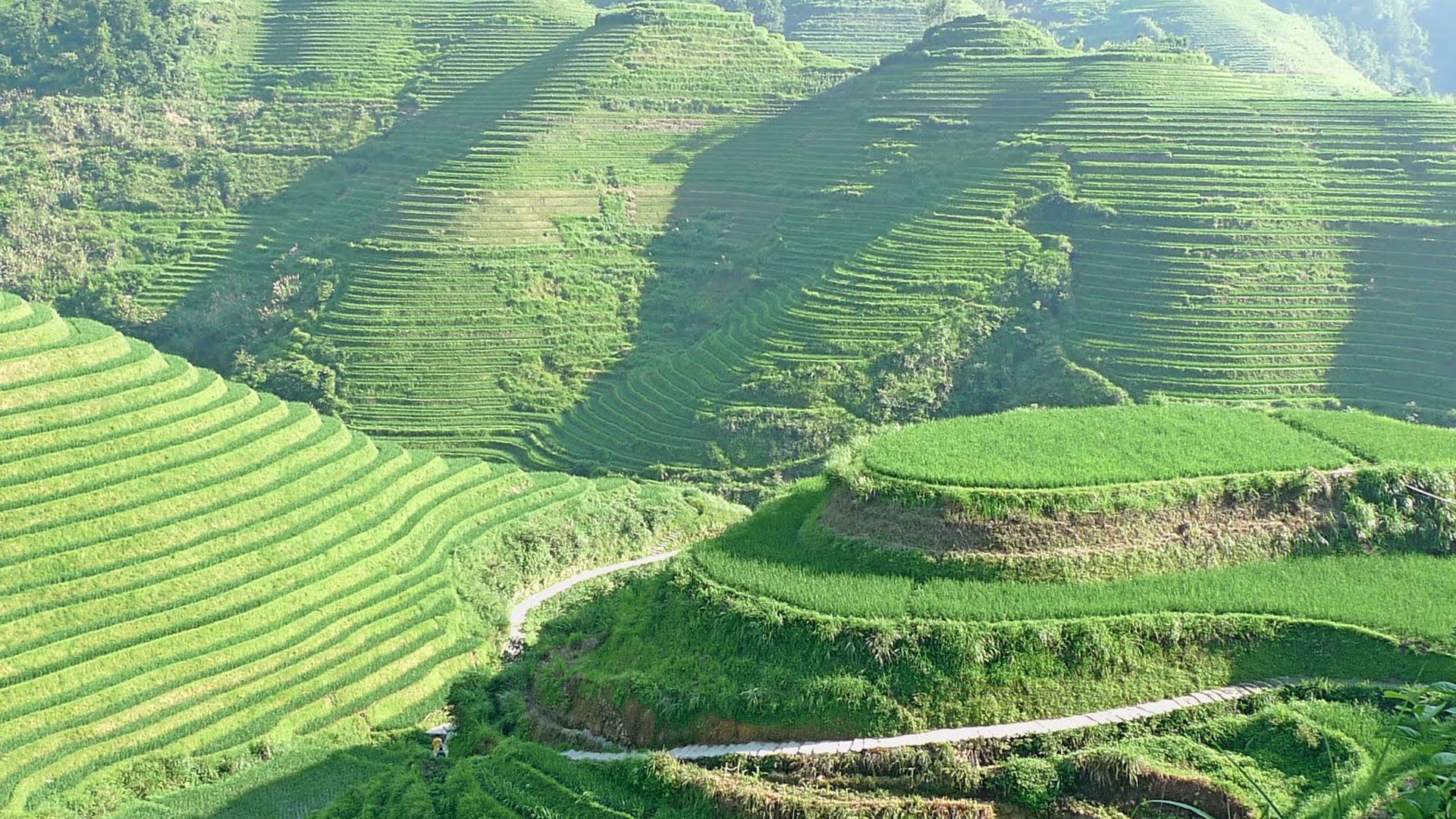 Banaue Wallpapers