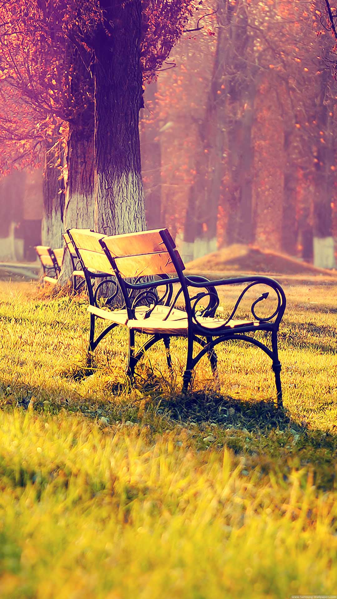Bench Wallpapers
