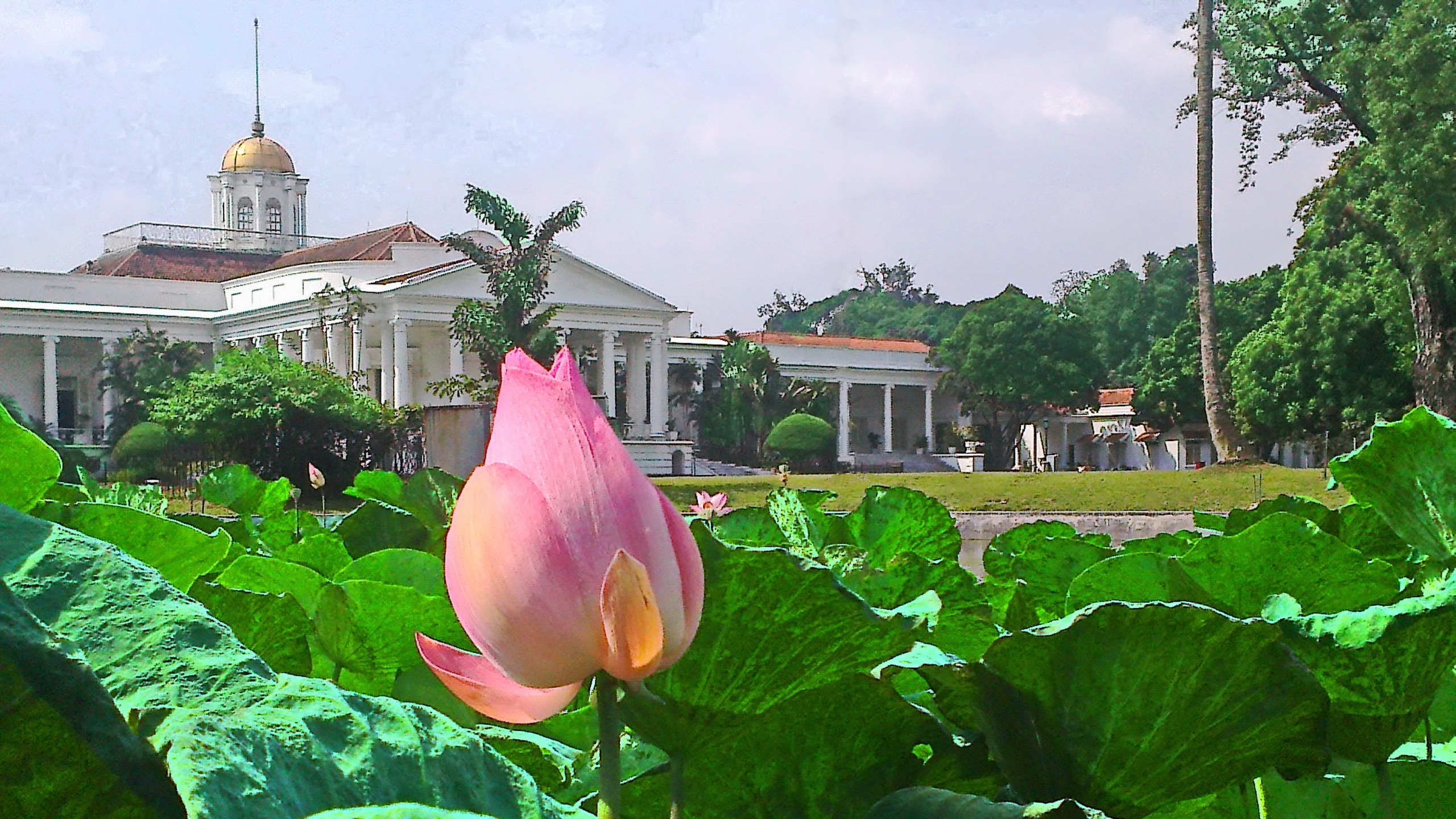 Bogor Palace Wallpapers