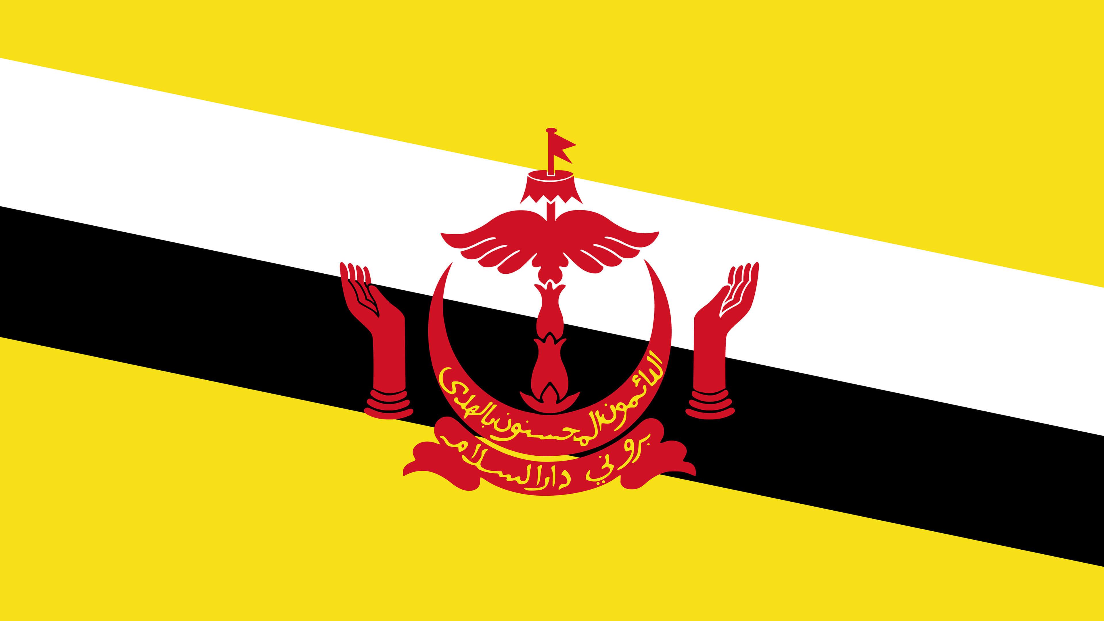 Brunei Flag Wallpapers