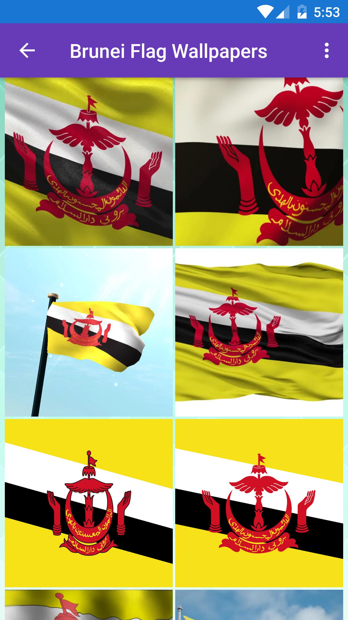 Brunei Flag Wallpapers