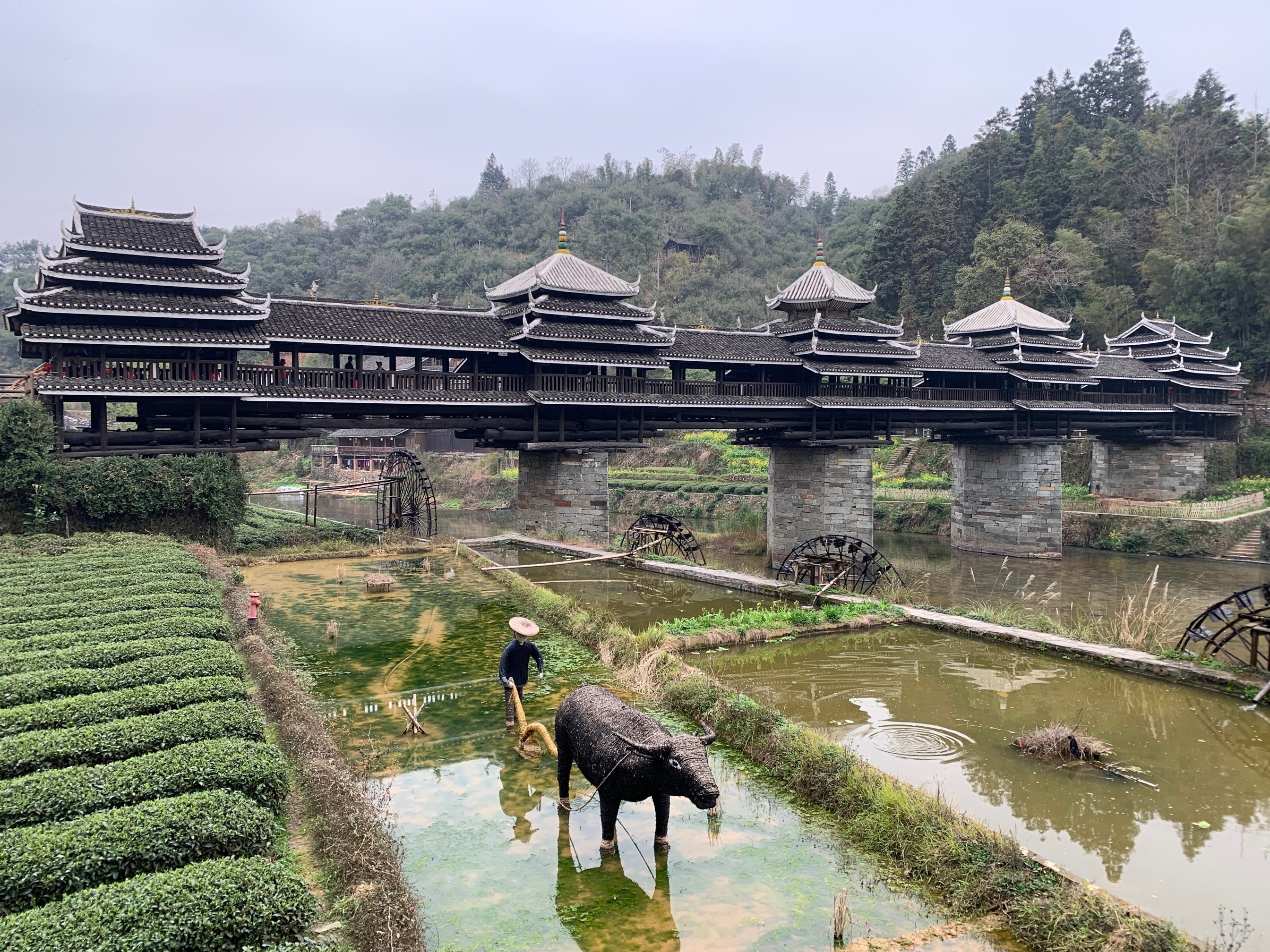 Chengyang Bridge Wallpapers