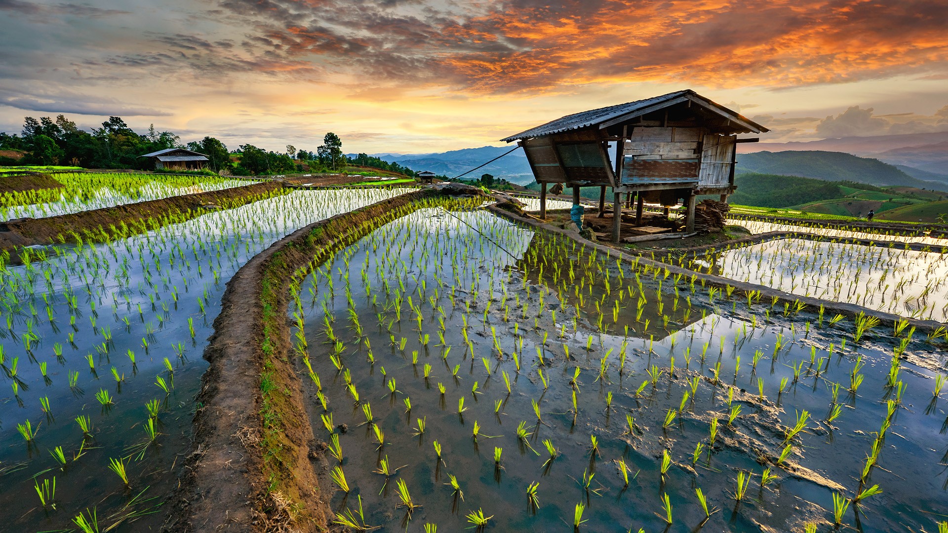 Chiang Mai Wallpapers