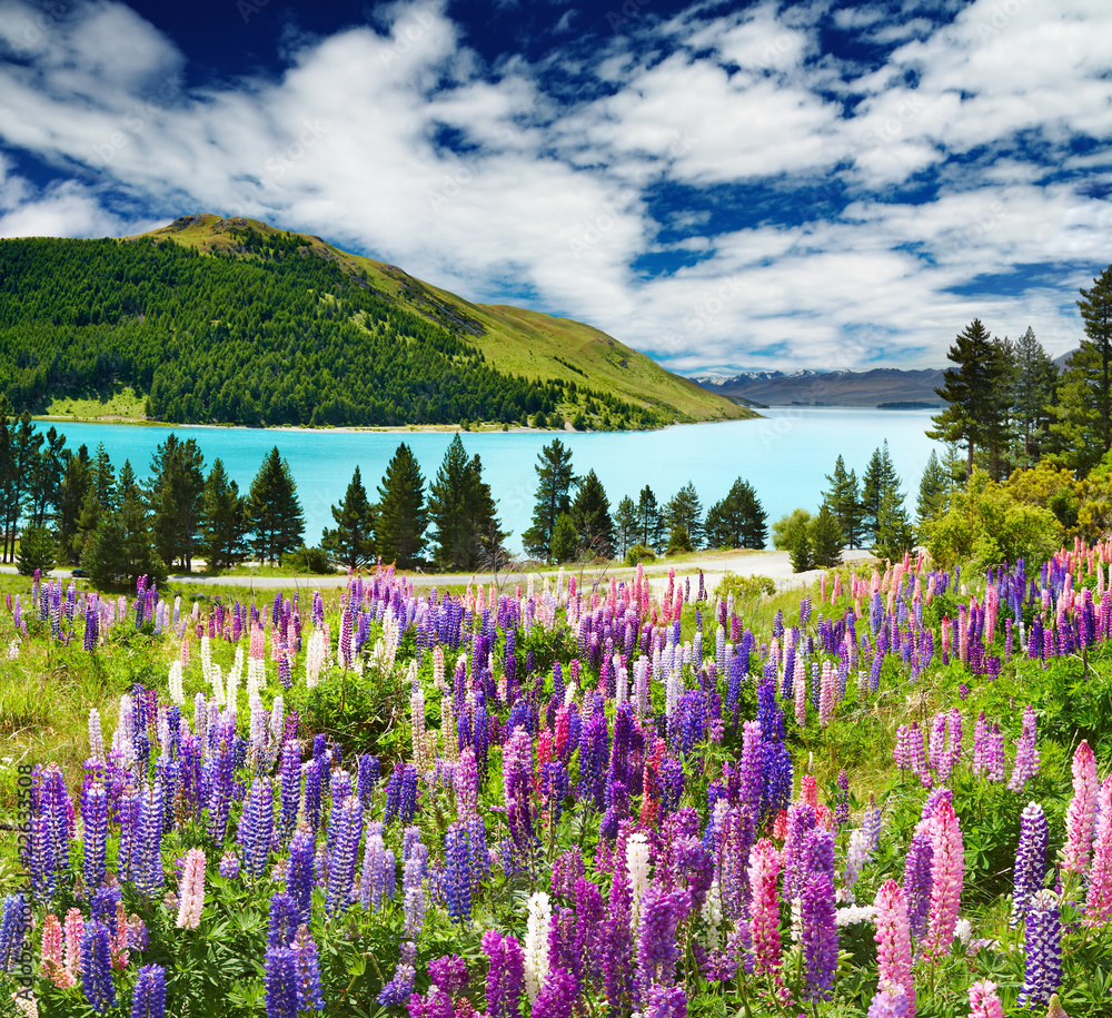 Cloudy Mountains In Lake Tekapo New Zealand Wallpapers