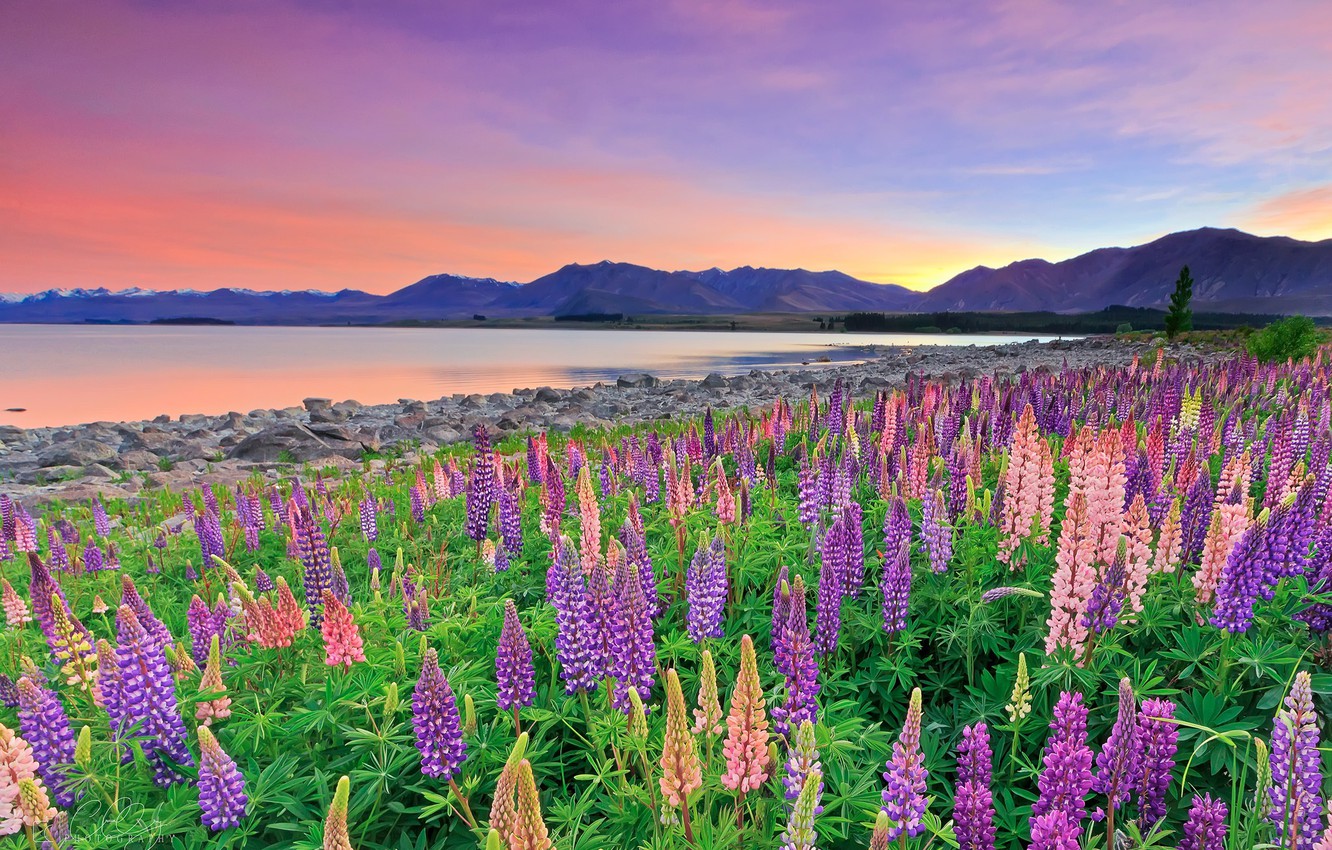 Cloudy Mountains In Lake Tekapo New Zealand Wallpapers