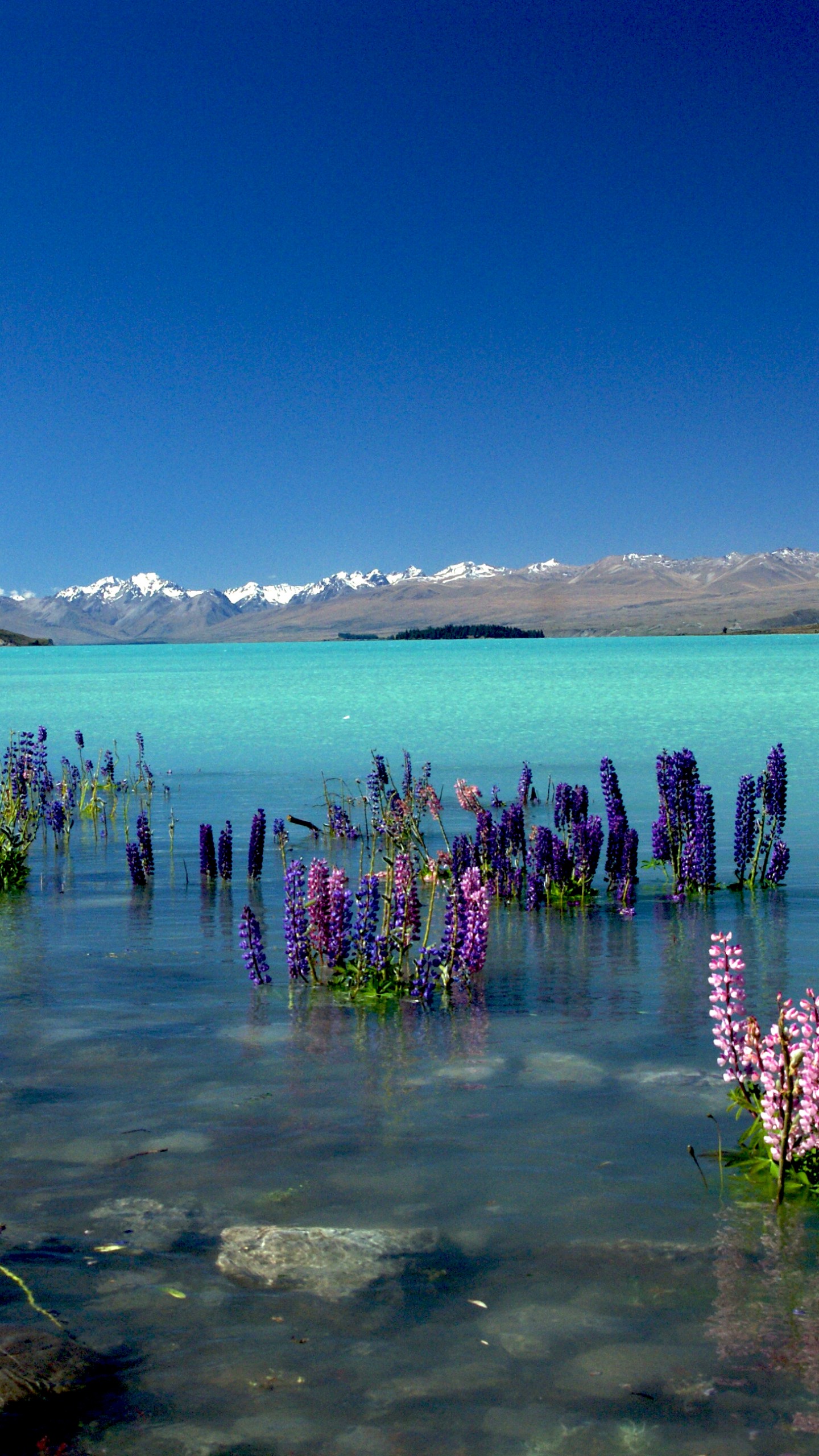 Cloudy Mountains In Lake Tekapo New Zealand Wallpapers