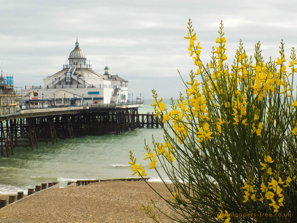 Eastbourne Pier Wallpapers