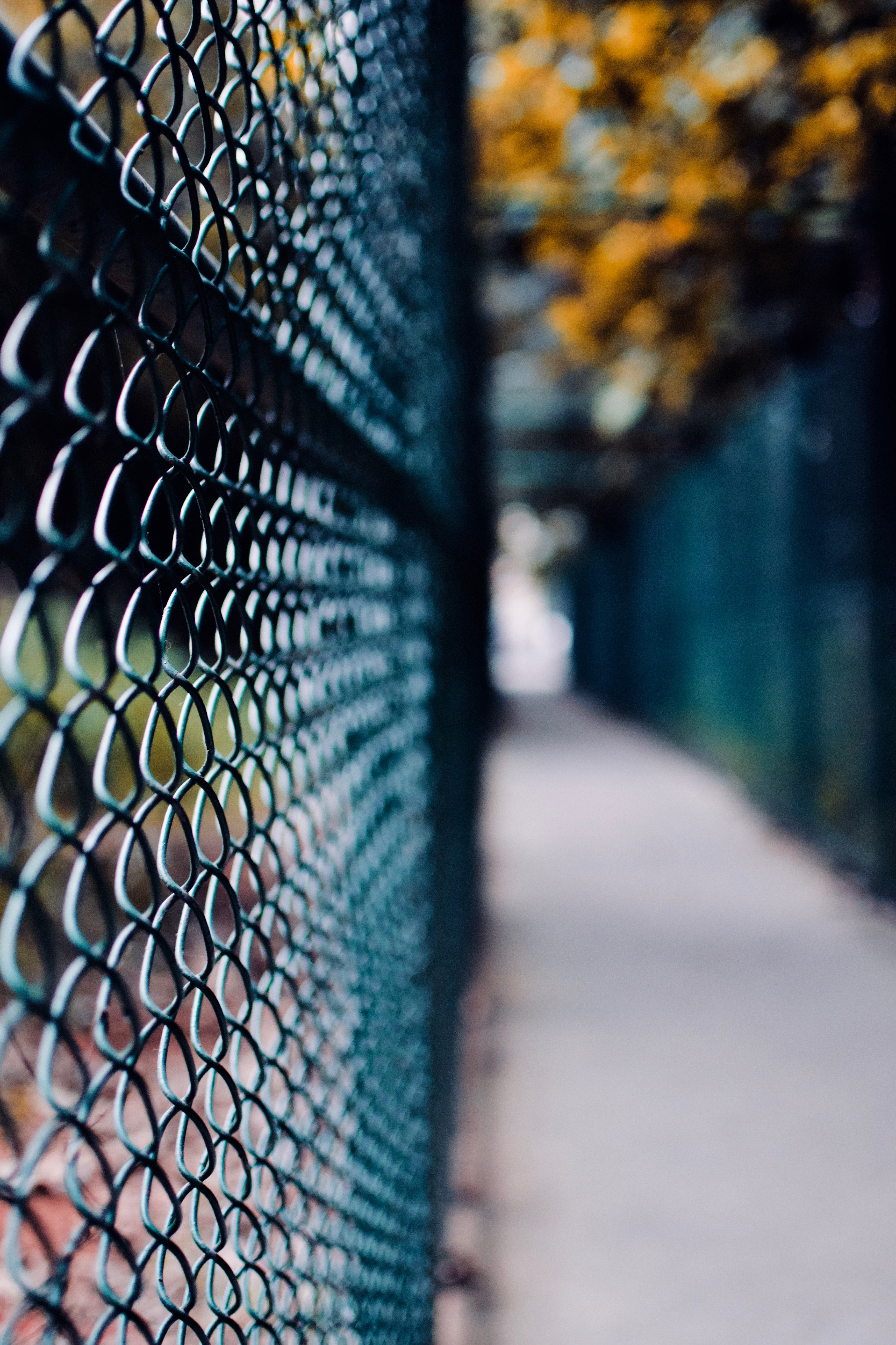 Fence Wallpapers