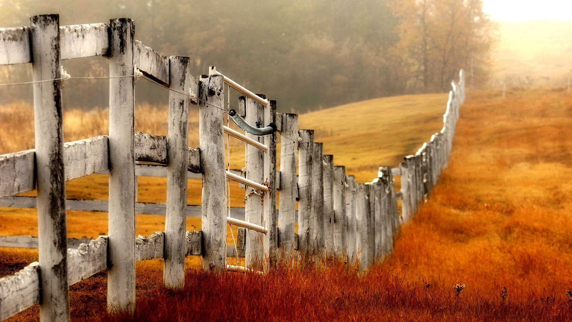 Fence Wallpapers