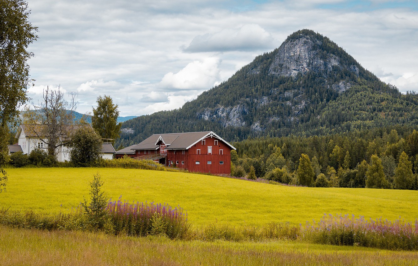 Field House In Norway Wallpapers