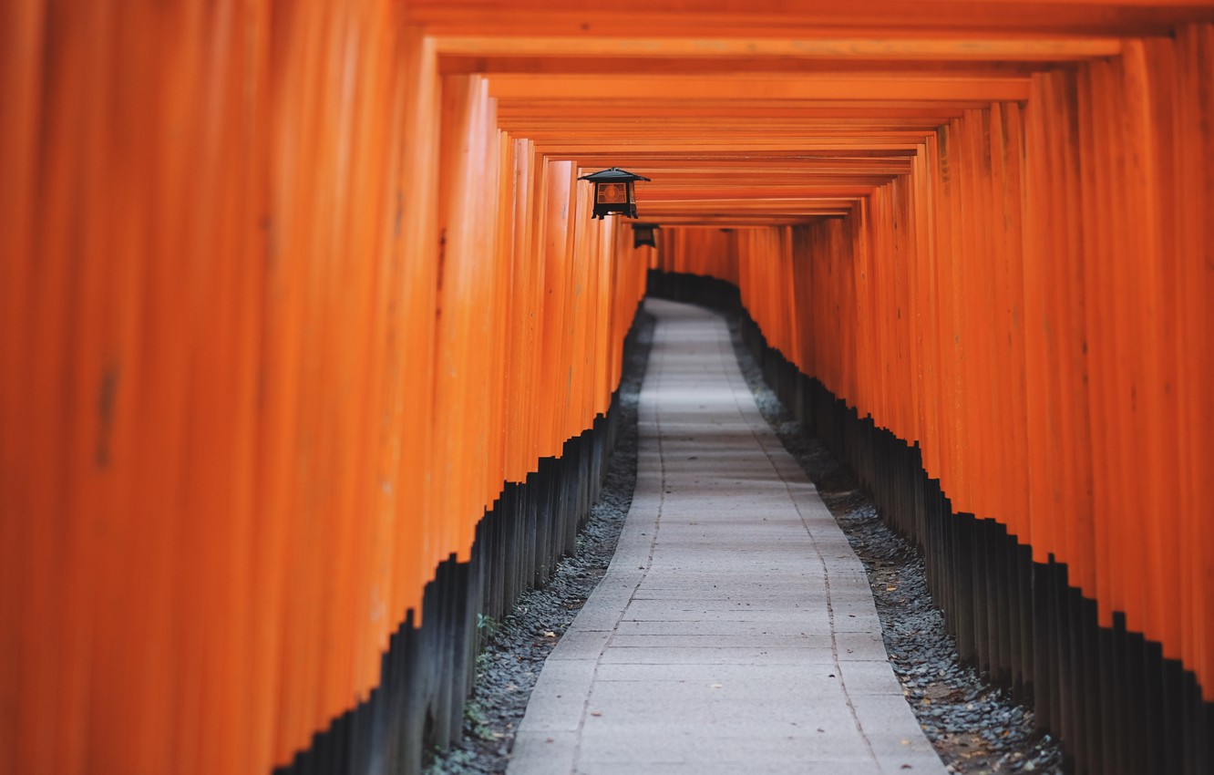 Fushimi Inari Taisha Wallpapers