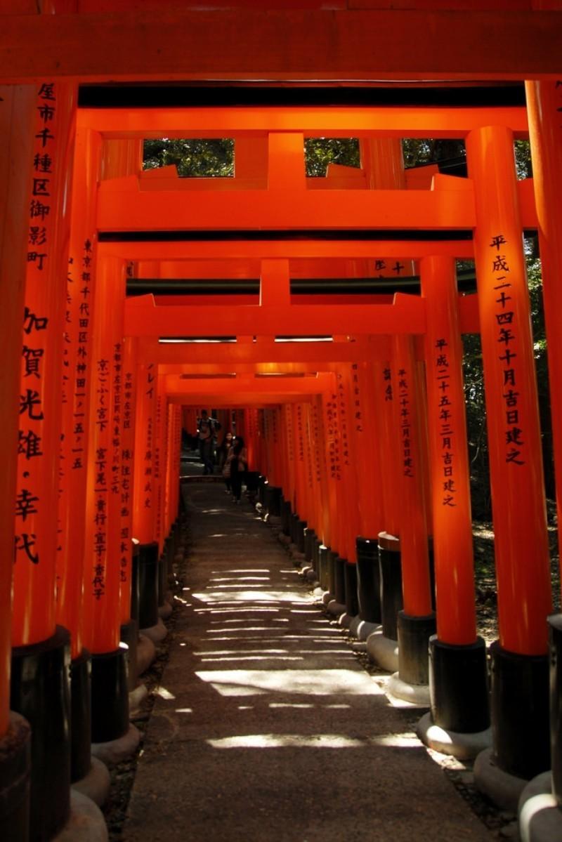 Fushimi Inari Taisha Wallpapers