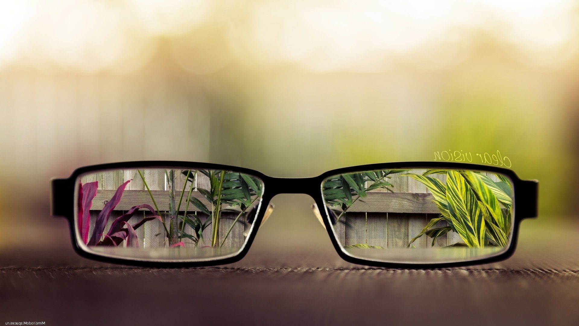 Glasses Wallpapers