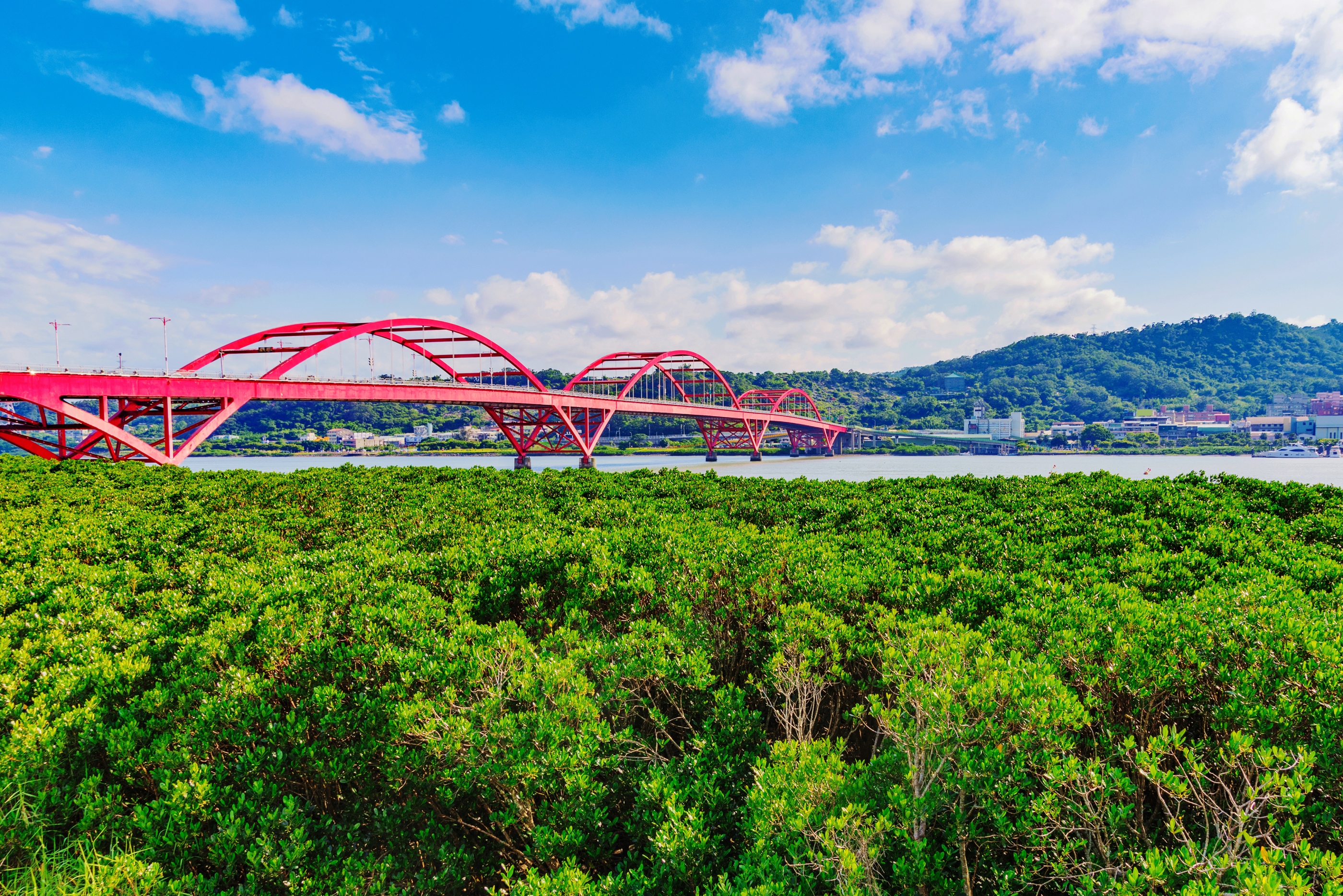 Guandu Bridge Wallpapers