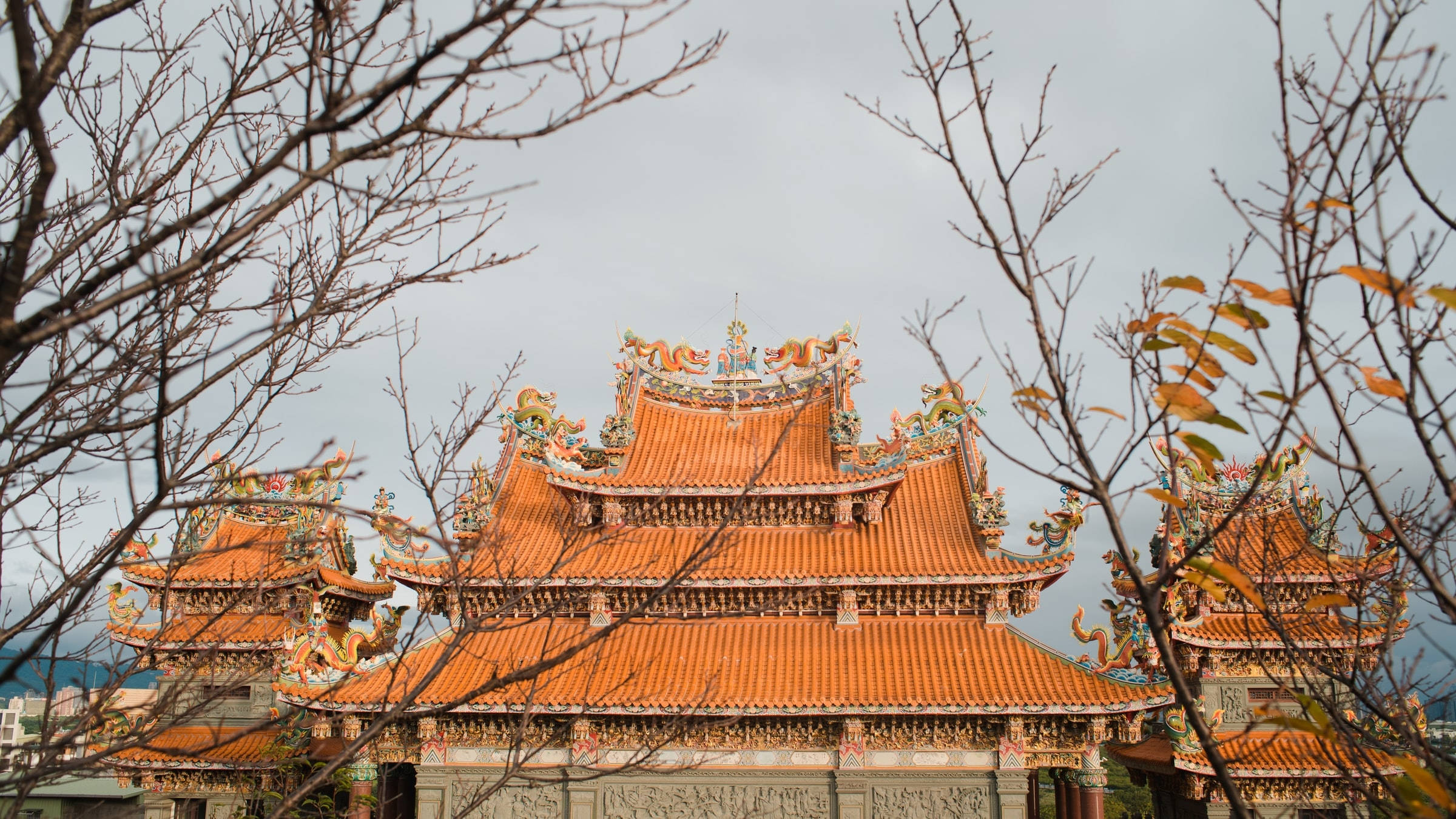 Guandu Bridge Wallpapers