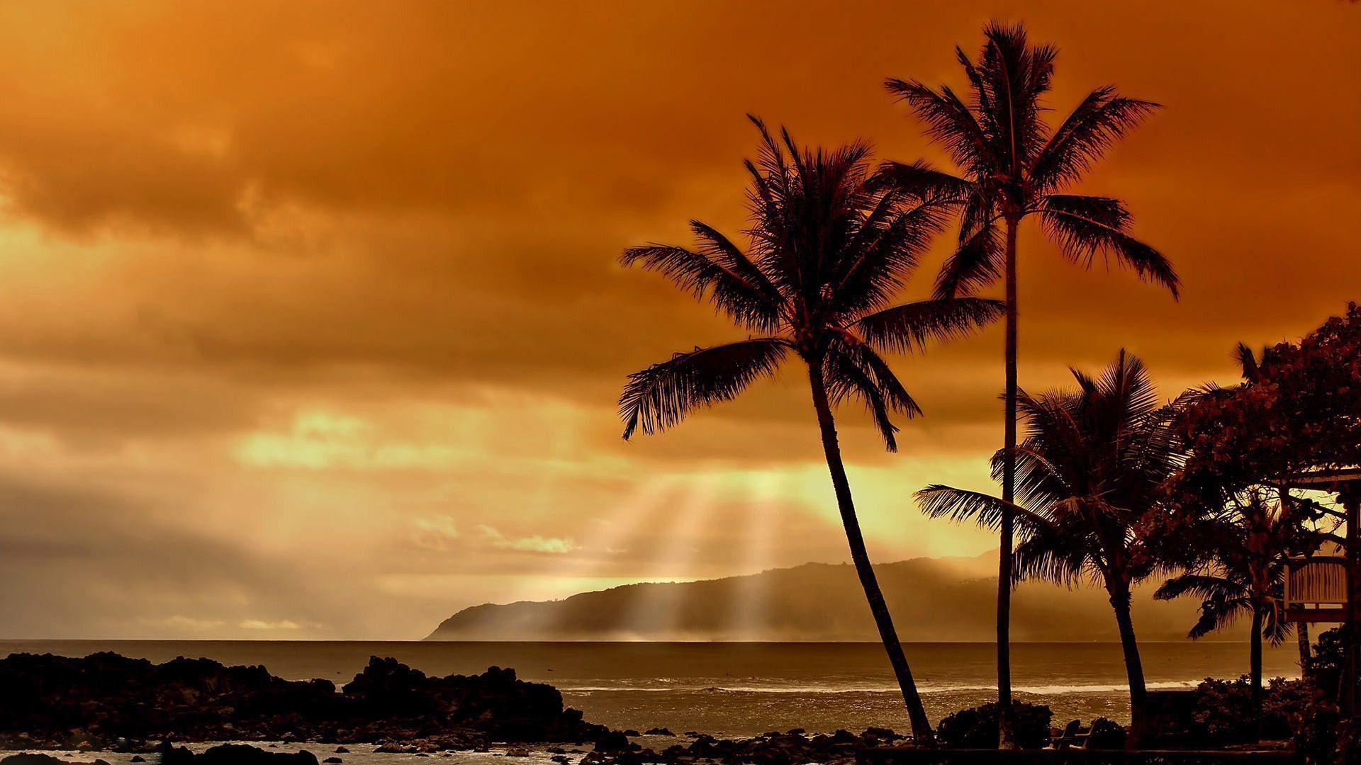 Hawaiian Wallpapers