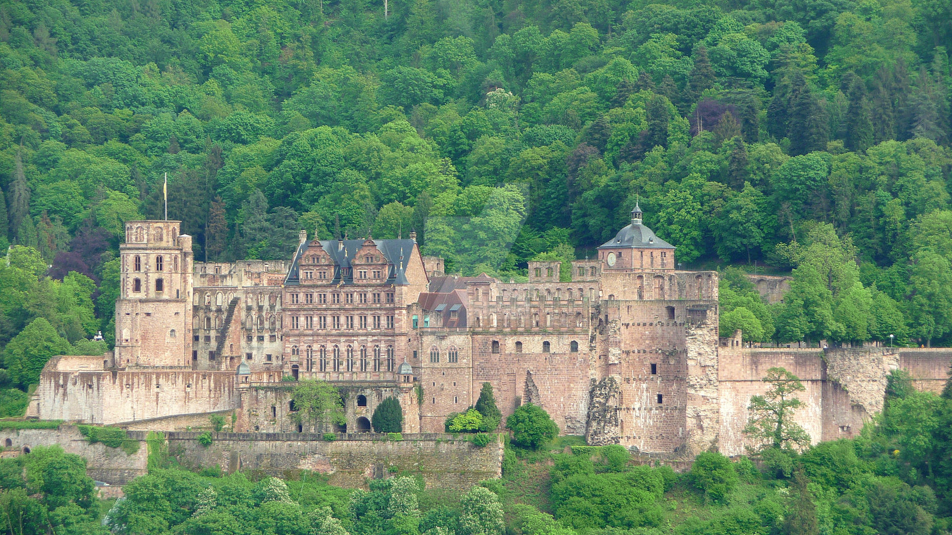 Heidelberg Castle Wallpapers