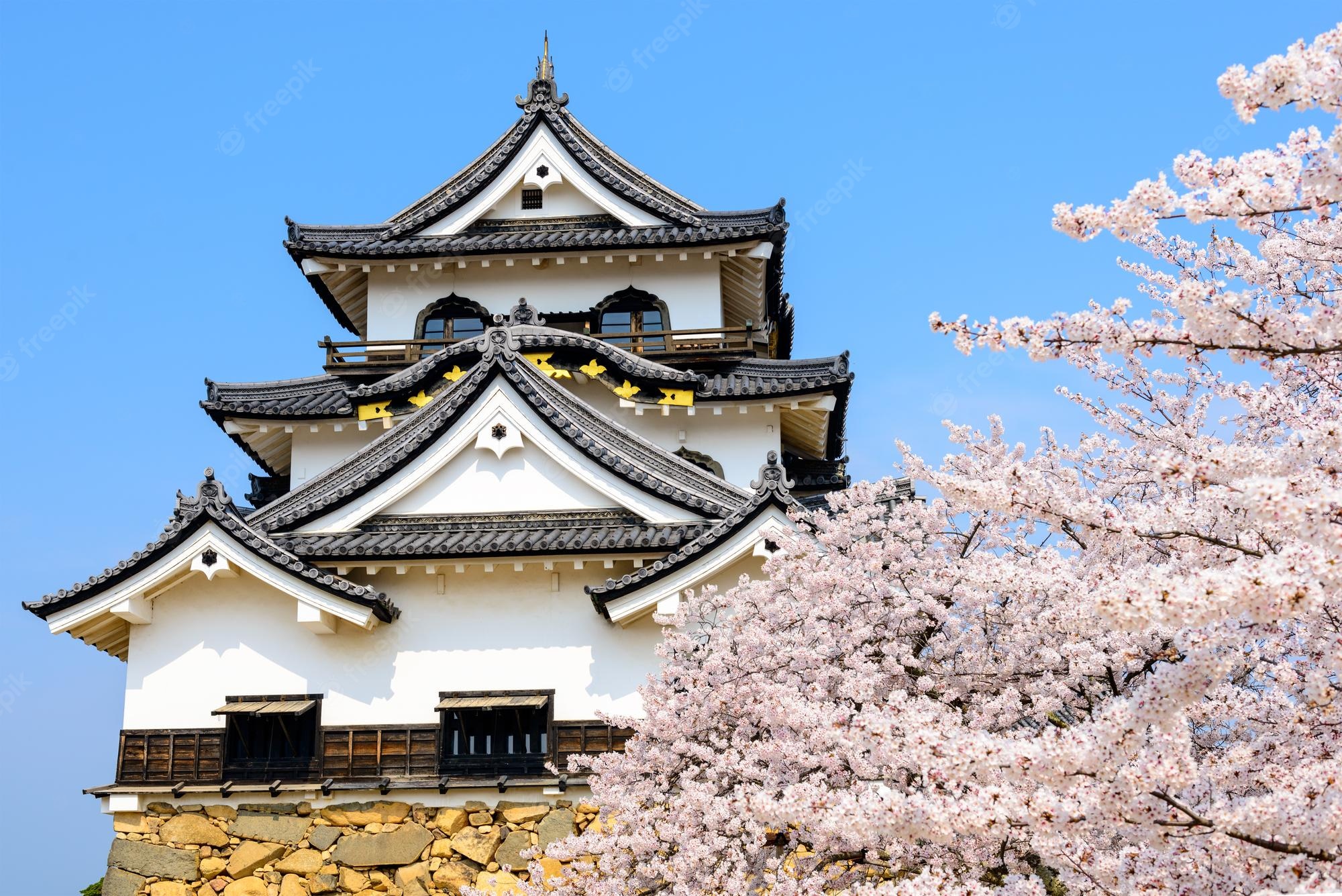 Hikone Castle Wallpapers