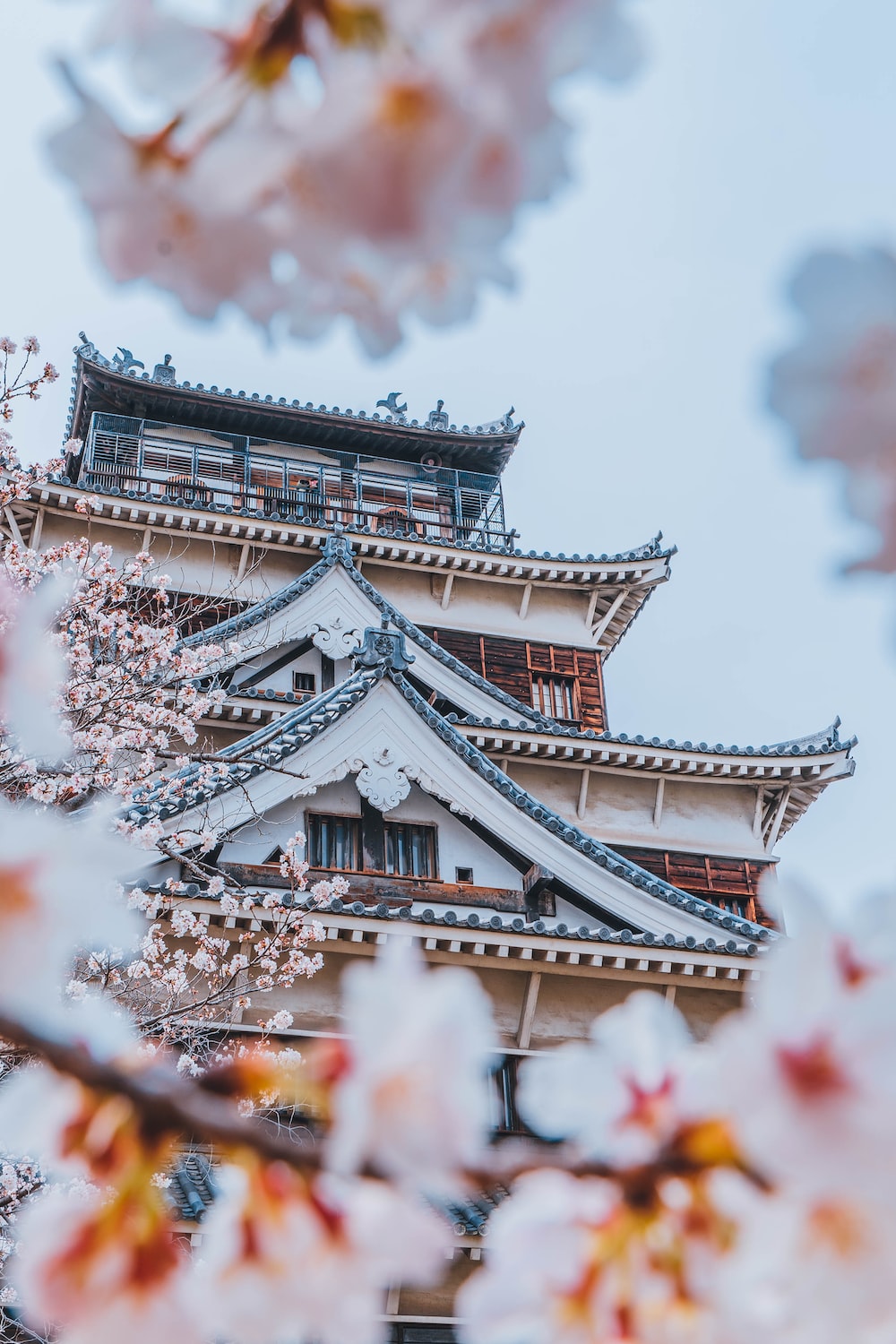 Hiroshima Castle Wallpapers