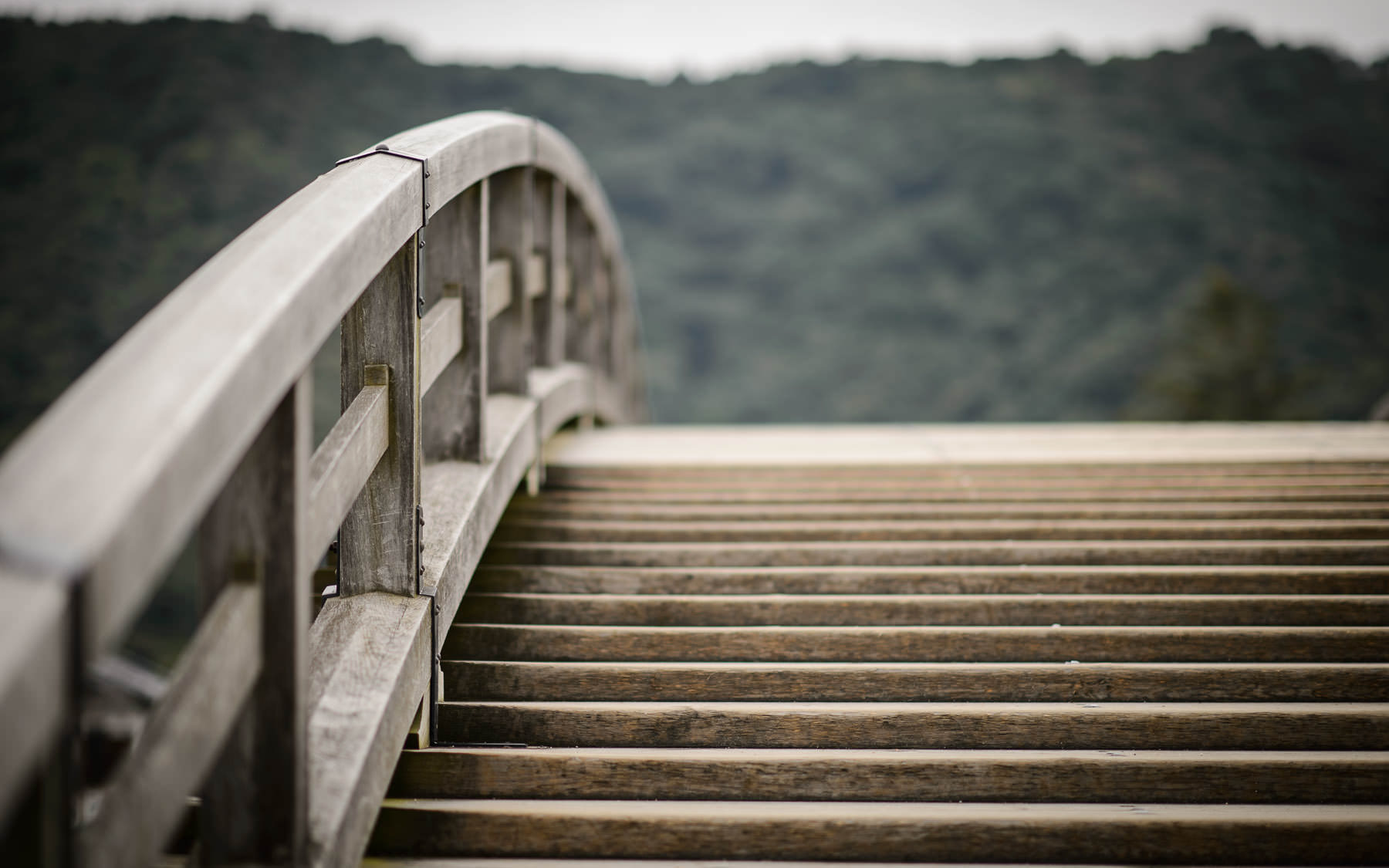 Kintai Bridge Wallpapers