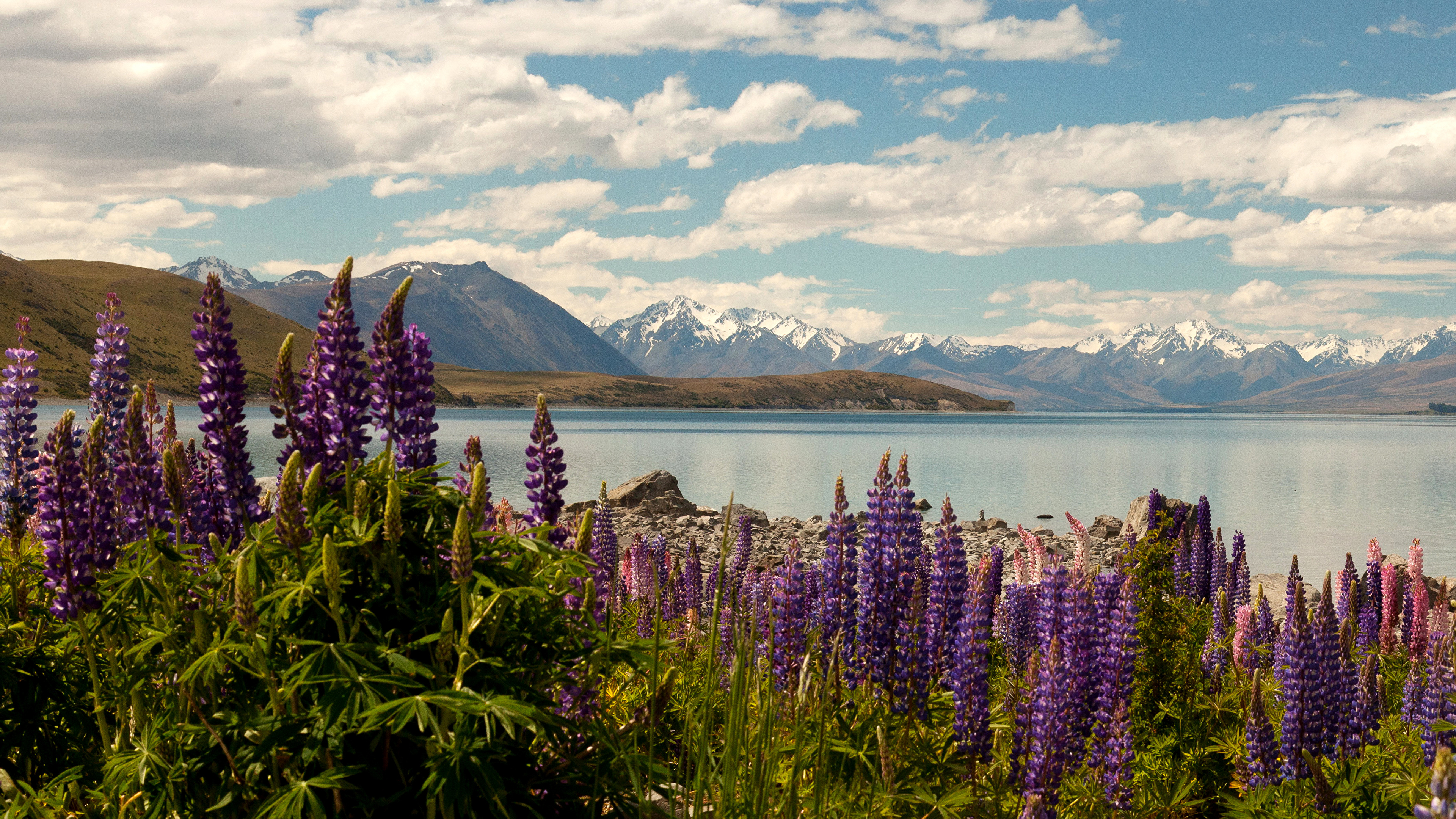 Lake Tekapo New Zealand Wallpapers