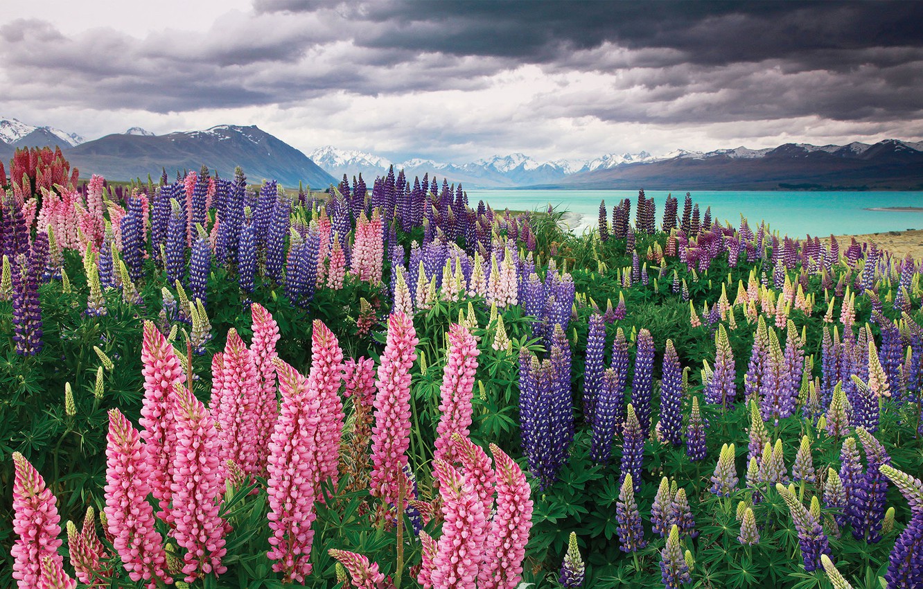 Lake Tekapo New Zealand Wallpapers