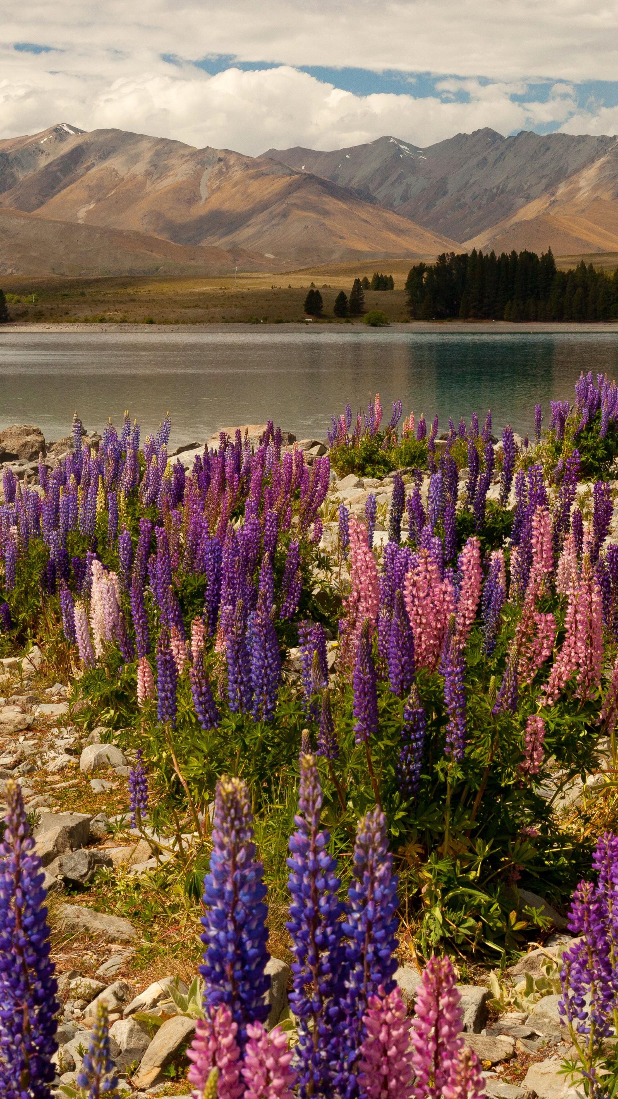 Lake Tekapo New Zealand Wallpapers