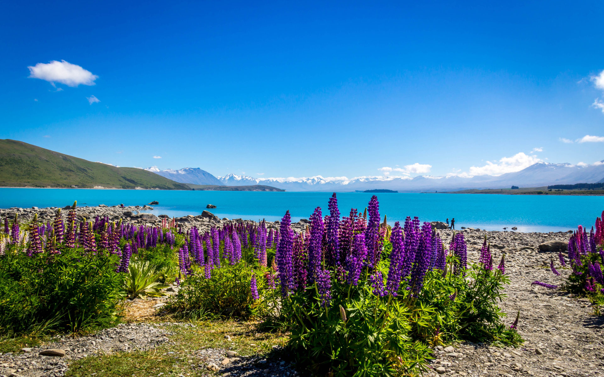 Lake Tekapo New Zealand Wallpapers