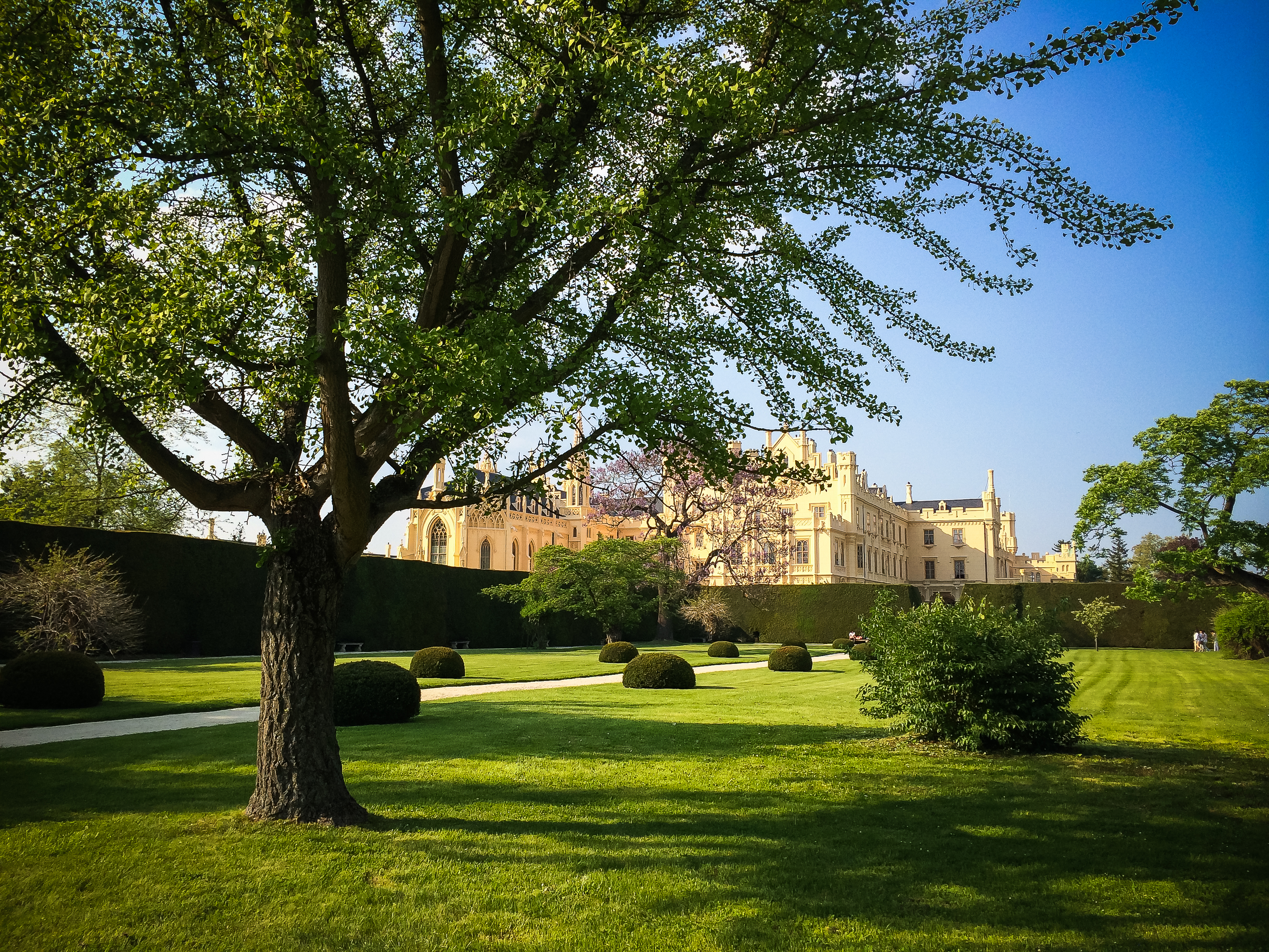 Lednice Castle Wallpapers